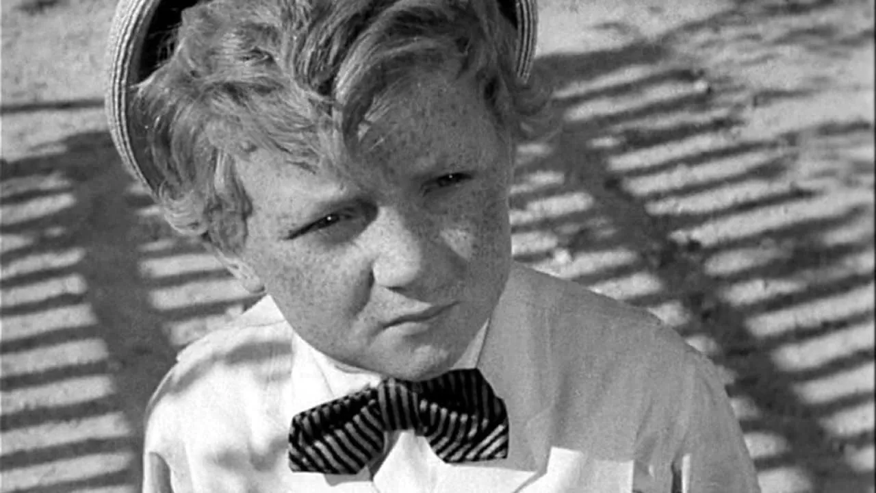 video-section-banner-image