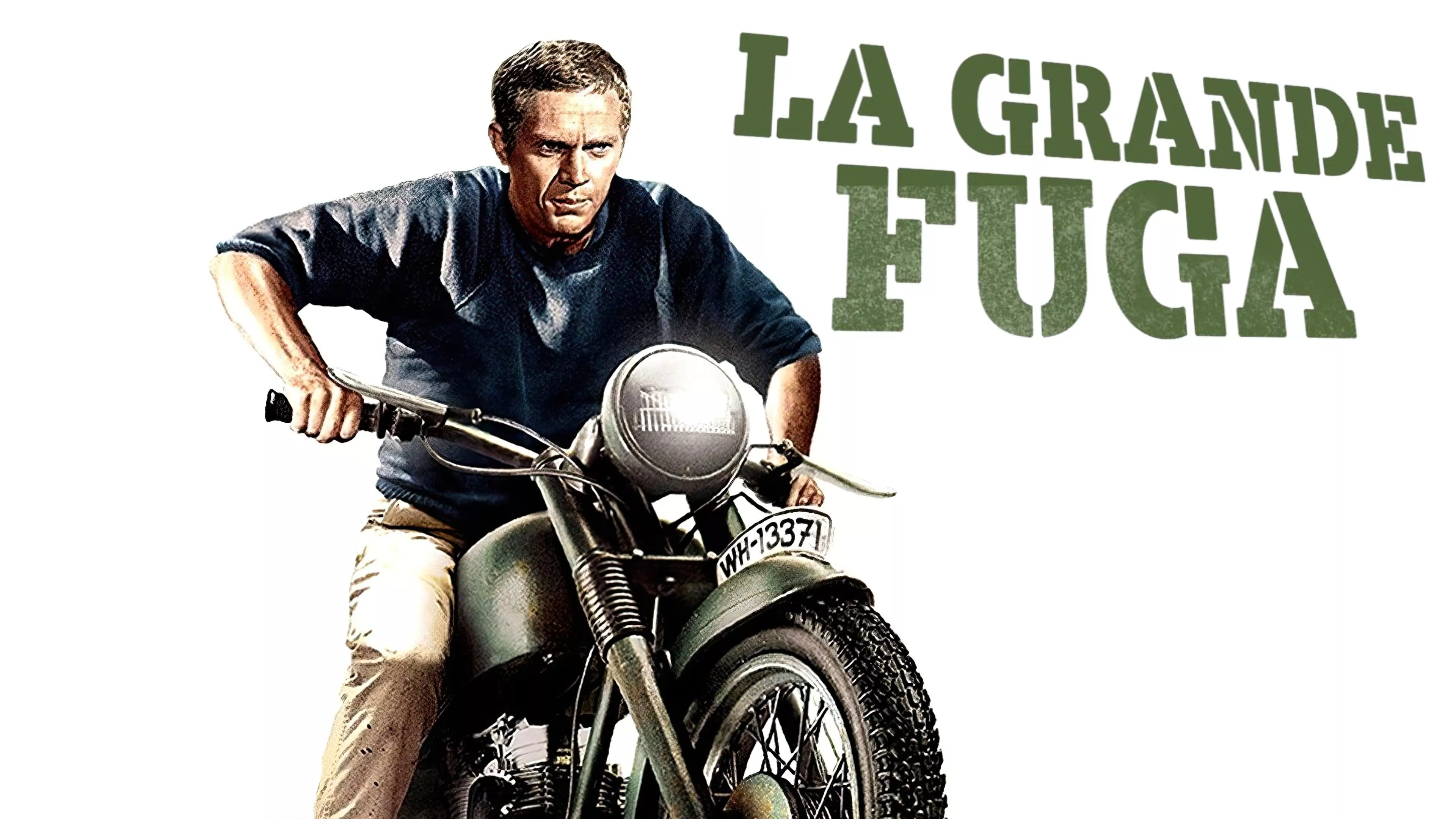 video-section-banner-image