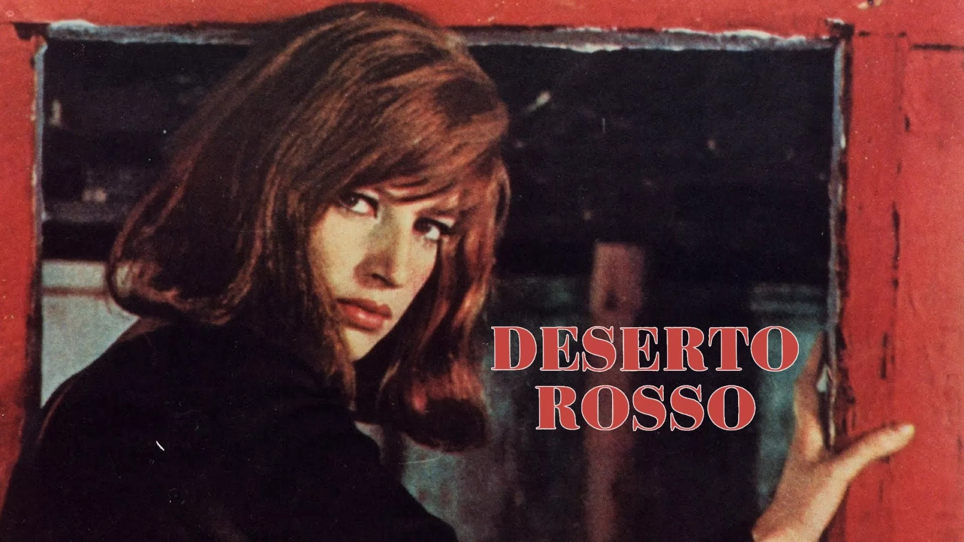 video-section-banner-image