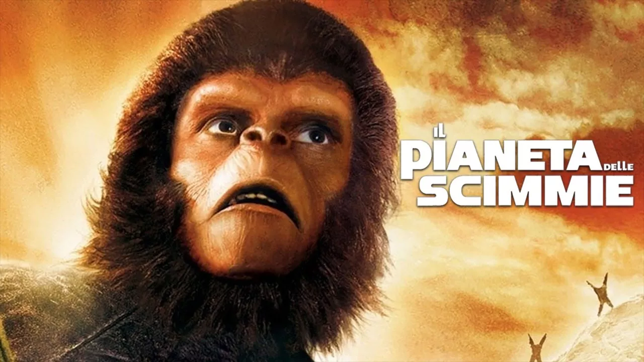 video-section-banner-image