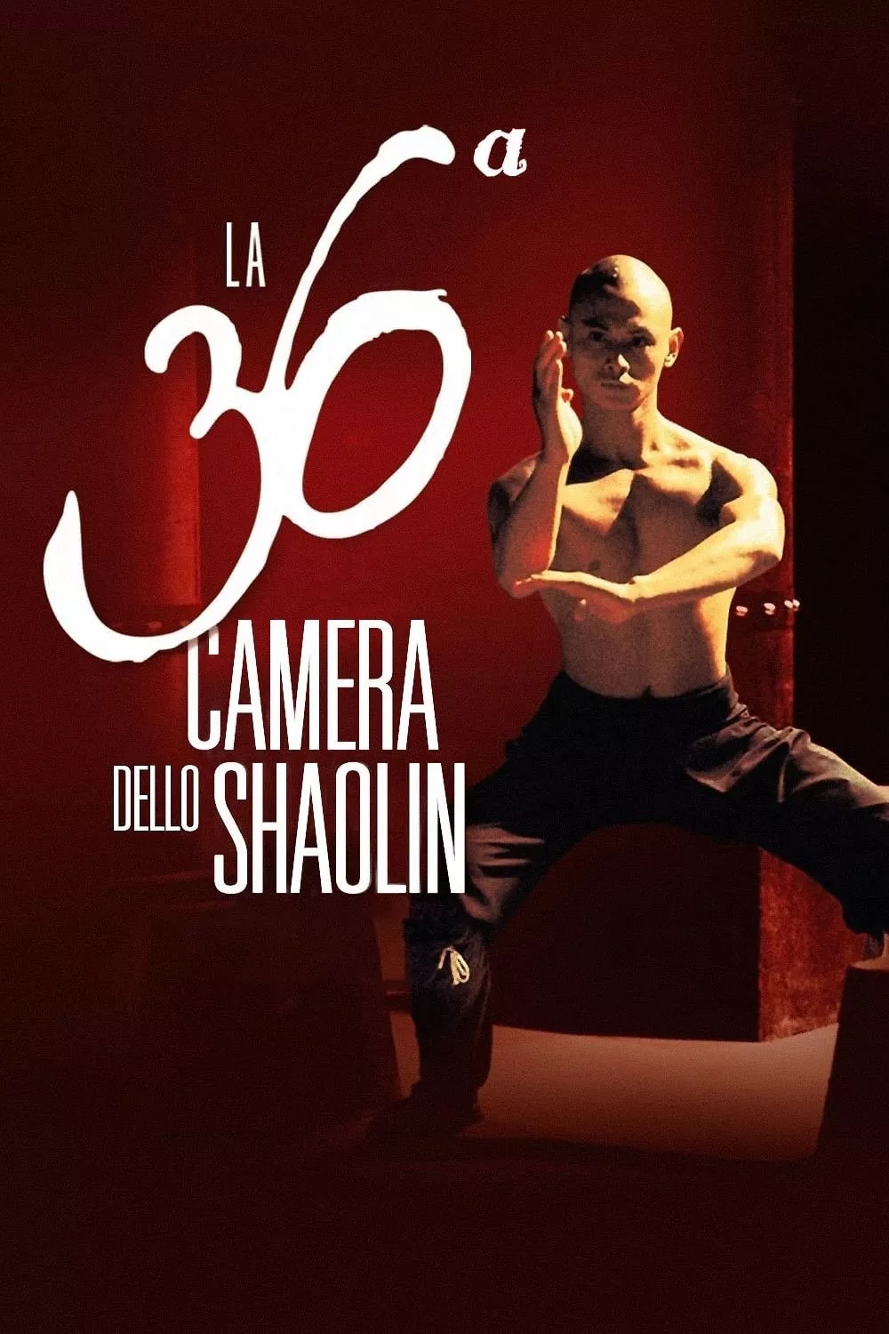 La 36ª camera dello Shaolin
