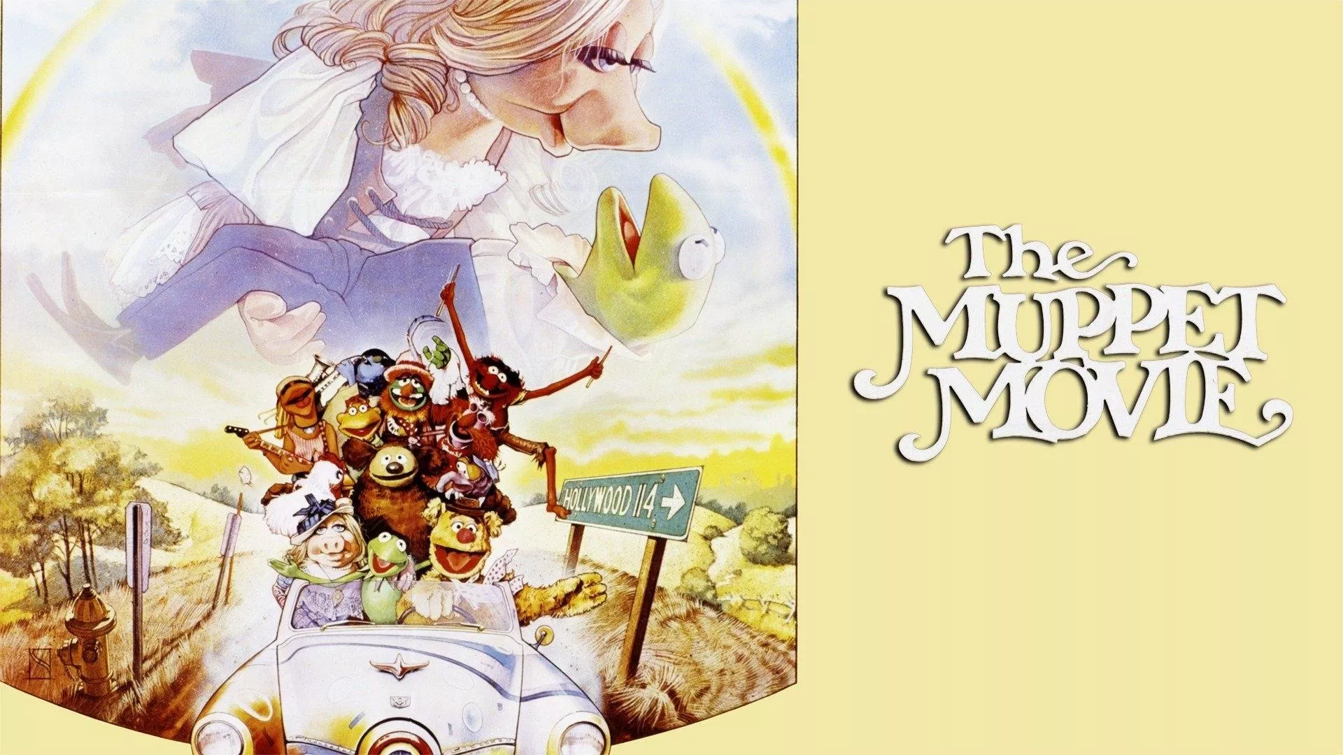 video-section-banner-image