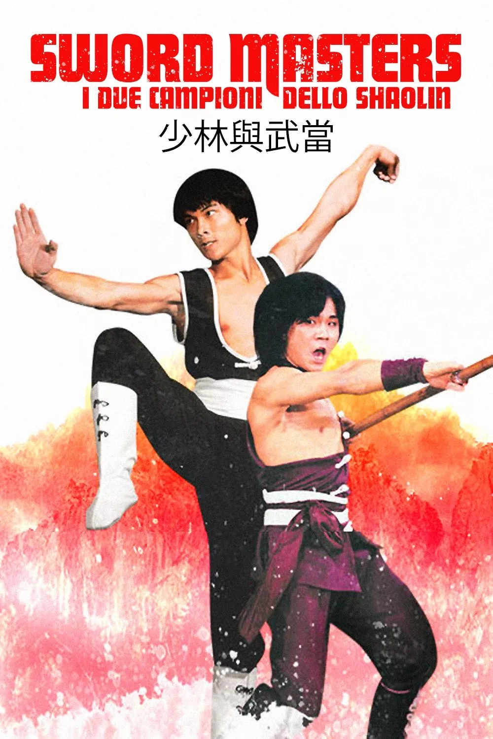 I due campioni dello Shaolin