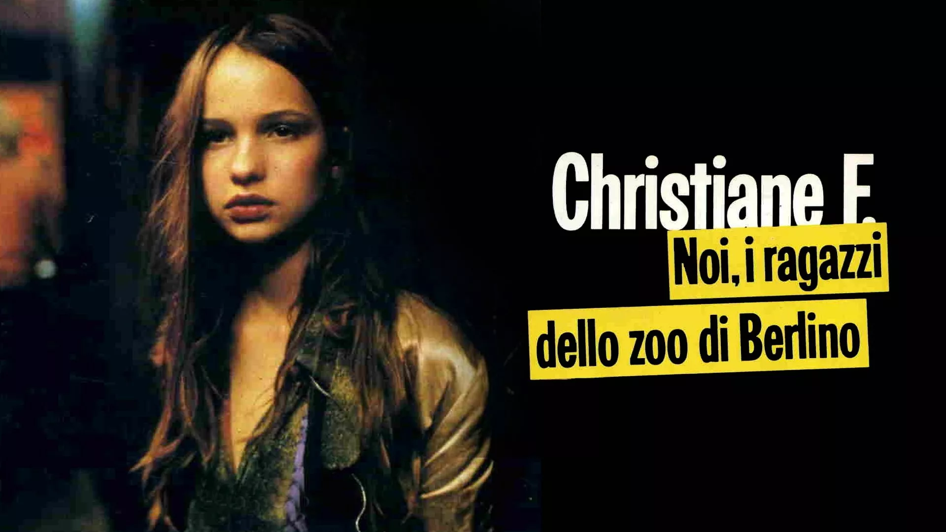 video-section-banner-image