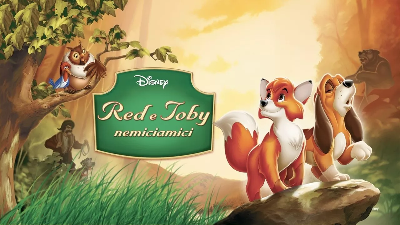 video-section-banner-image