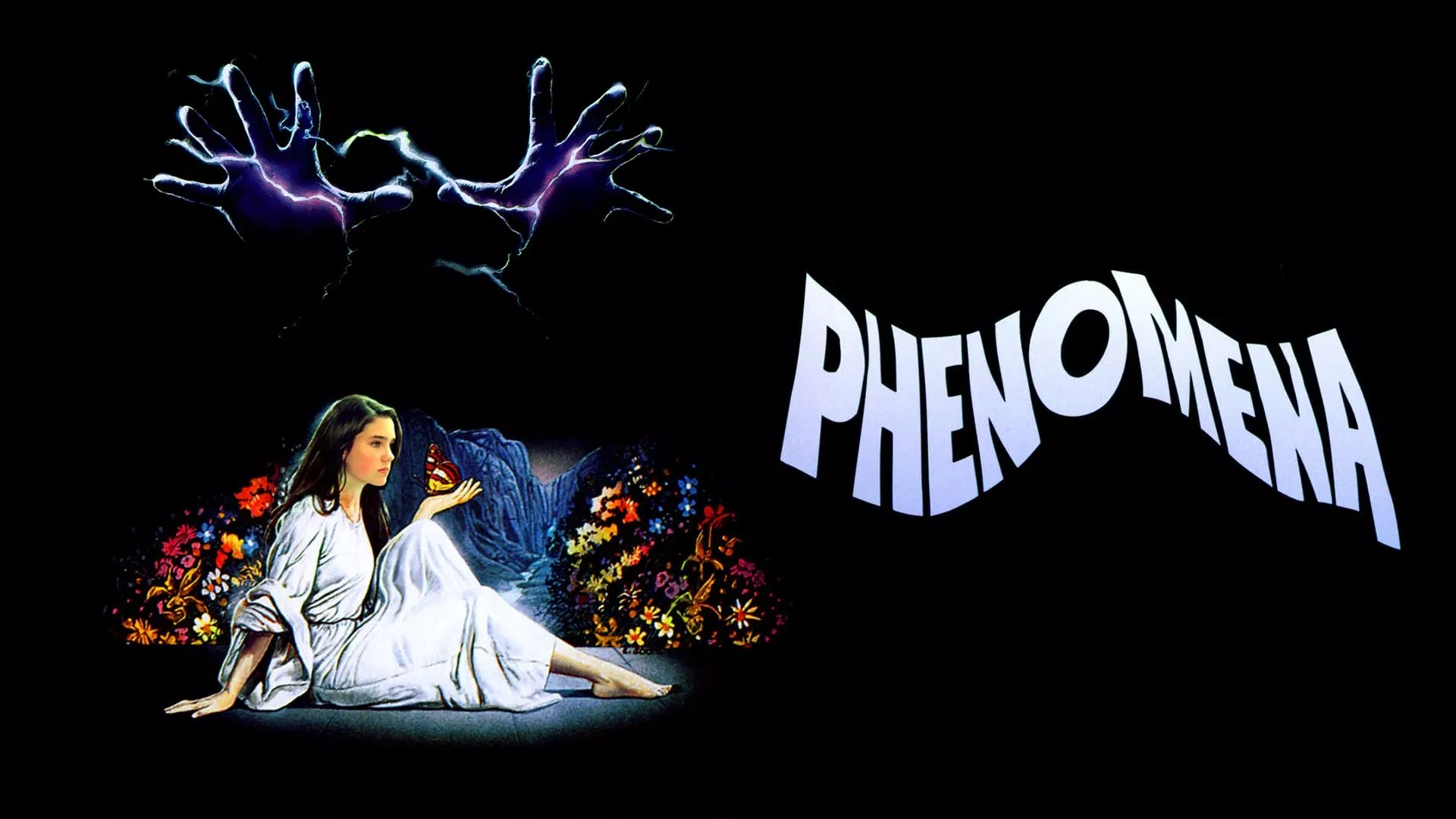 video-section-banner-image