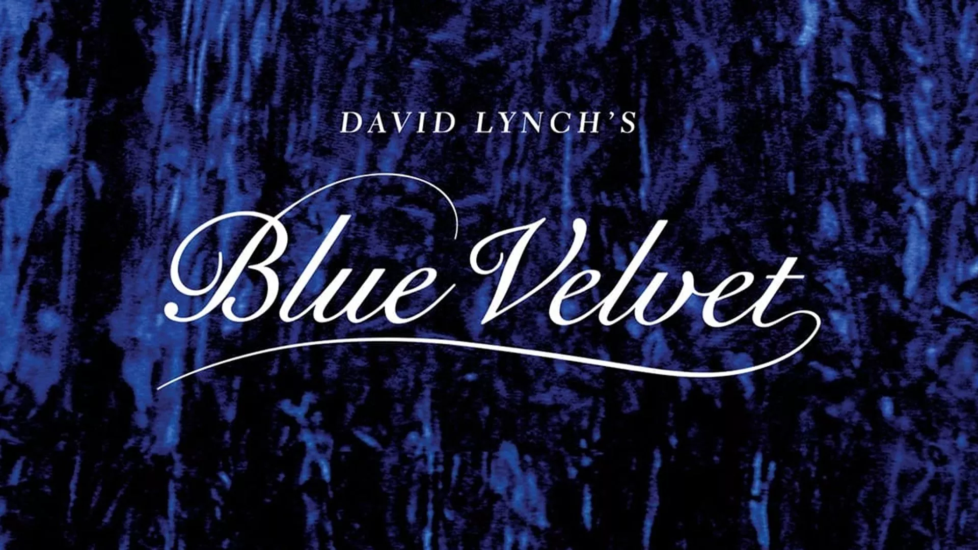 video-section-banner-image