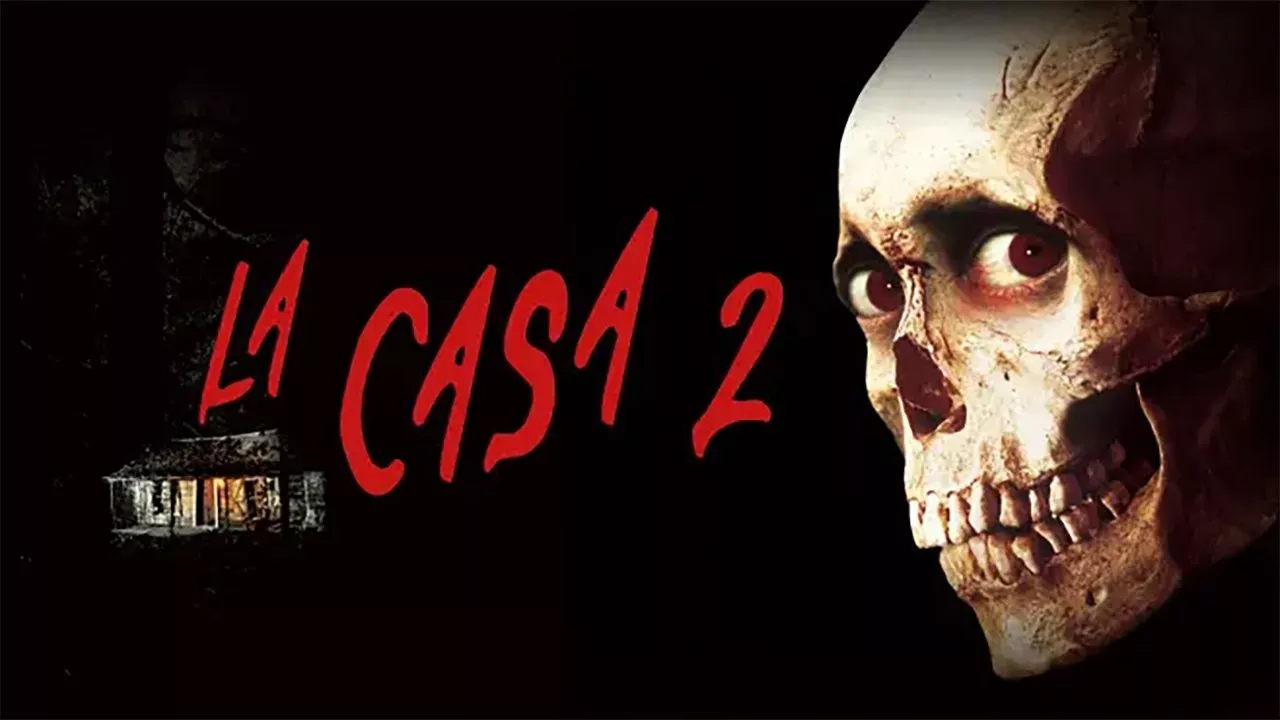 video-section-banner-image