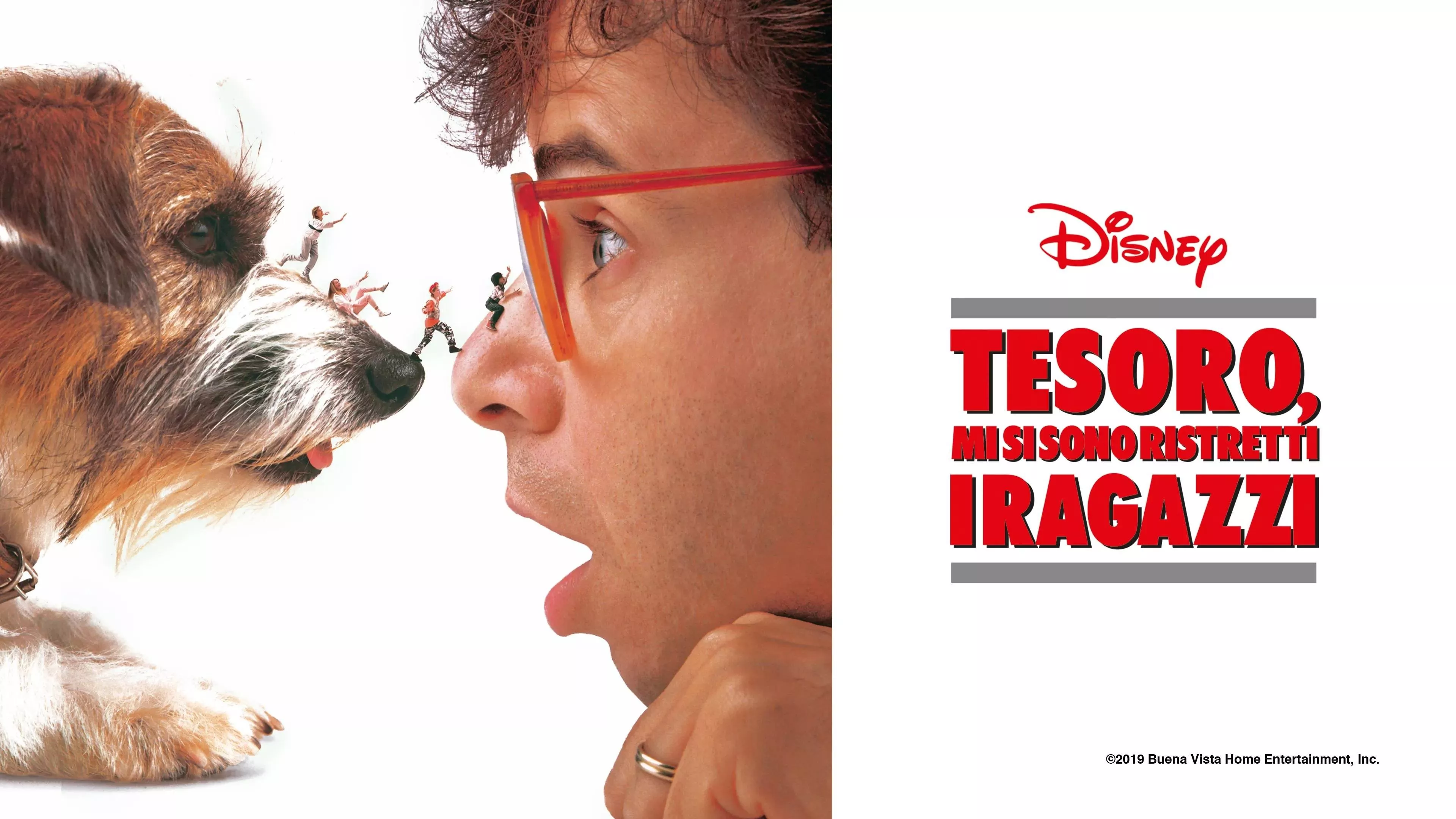 video-section-banner-image