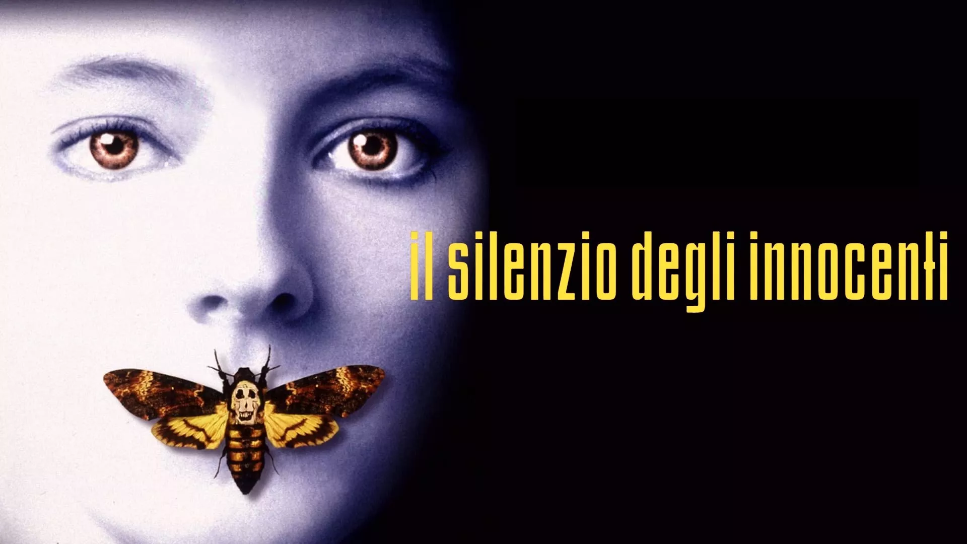 video-section-banner-image