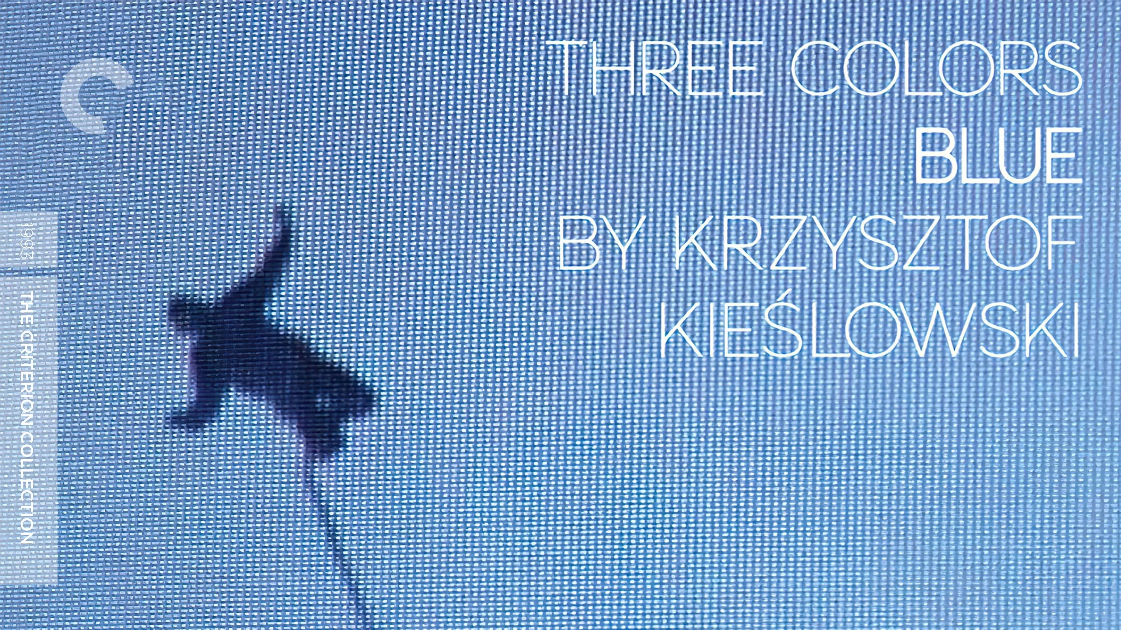 video-section-banner-image