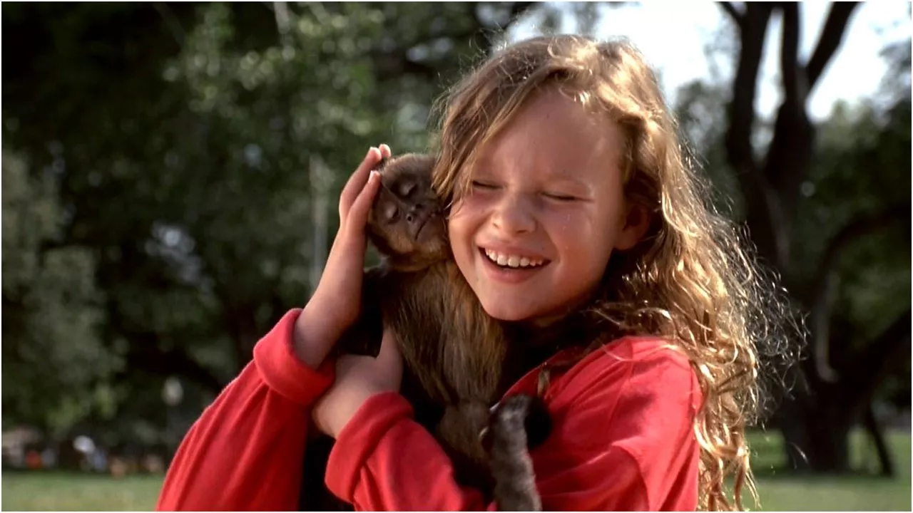 Il mio amico zampalesta