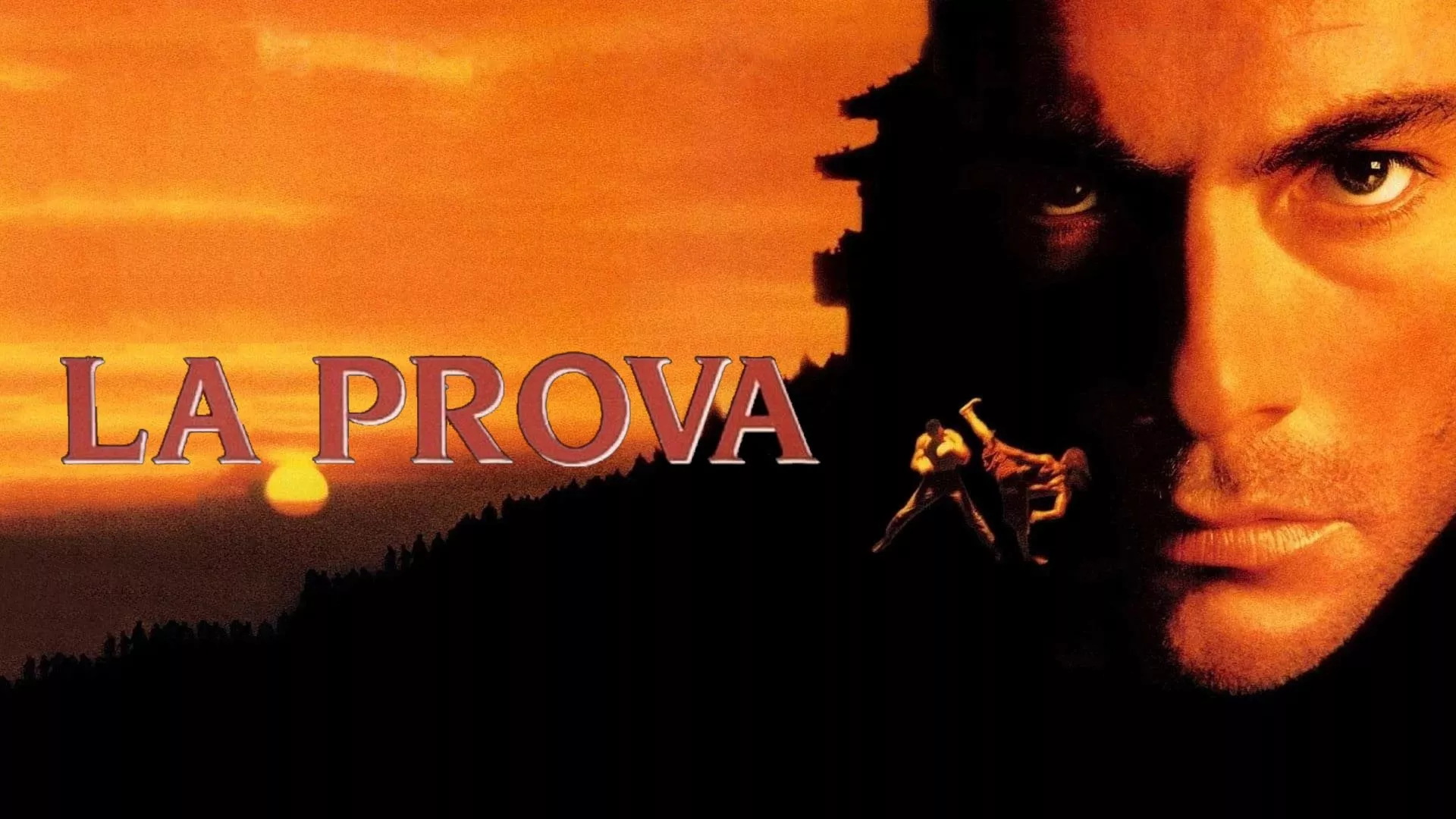 video-section-banner-image