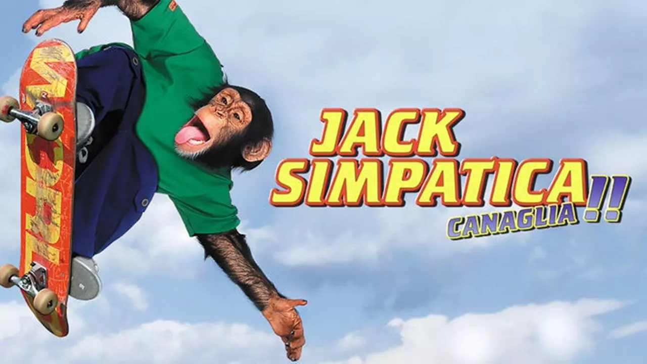 video-section-banner-image