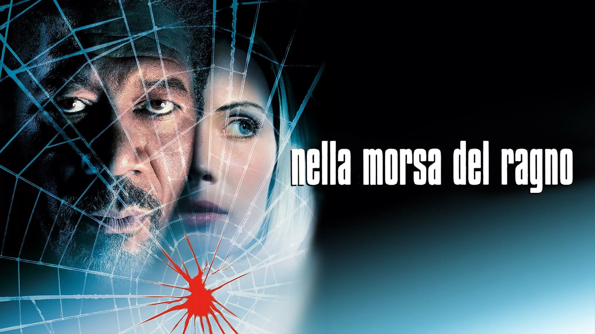 video-section-banner-image