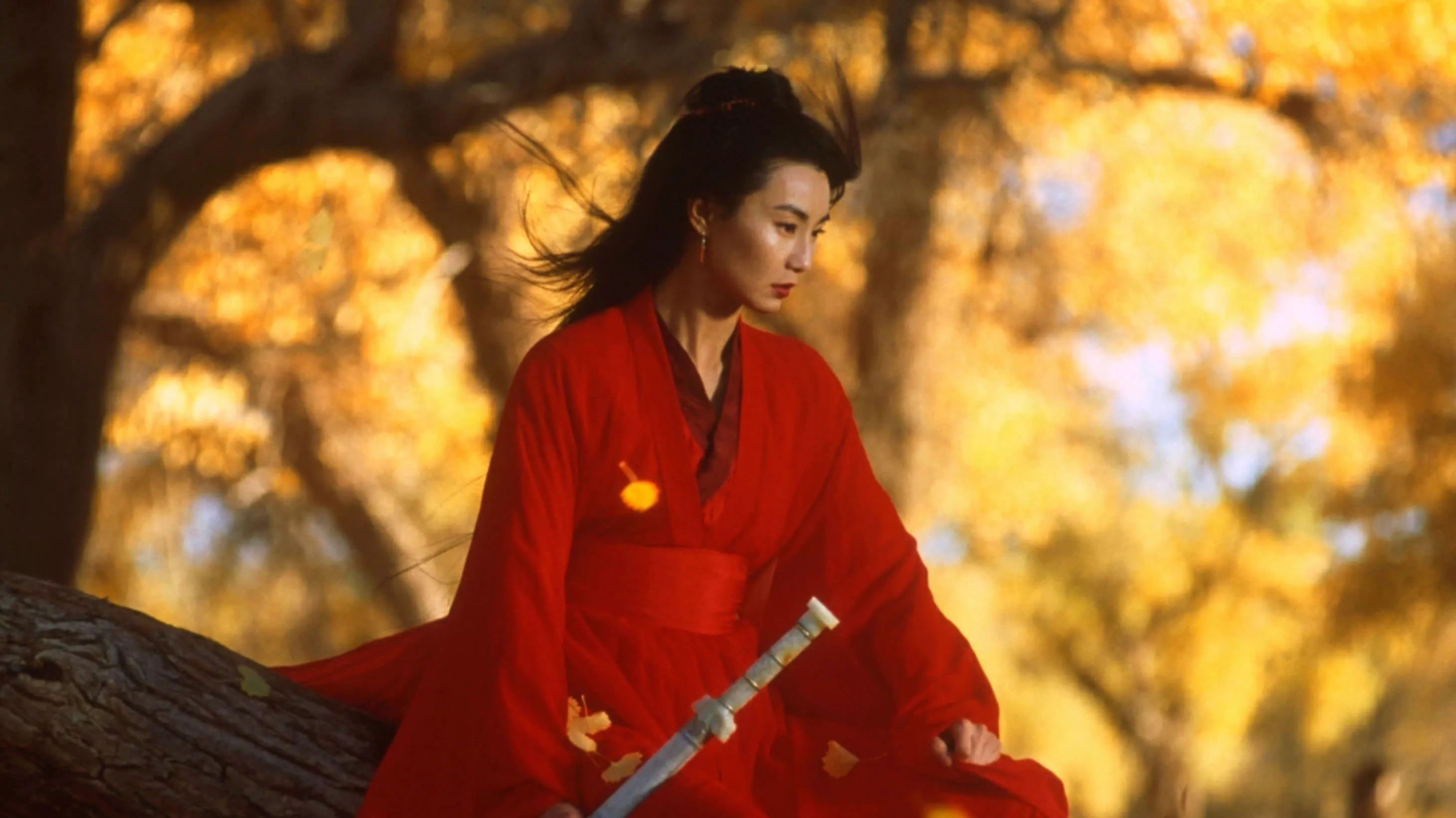 video-section-banner-image