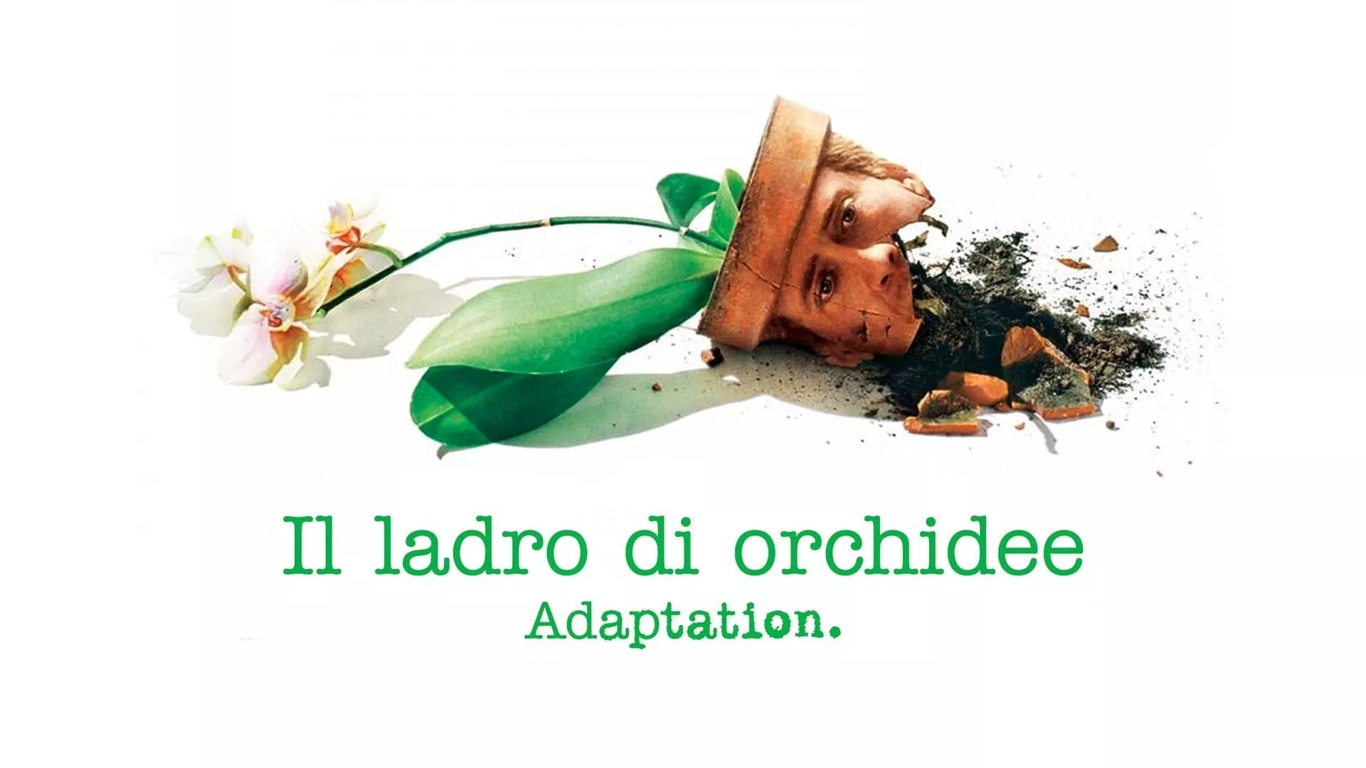 video-section-banner-image