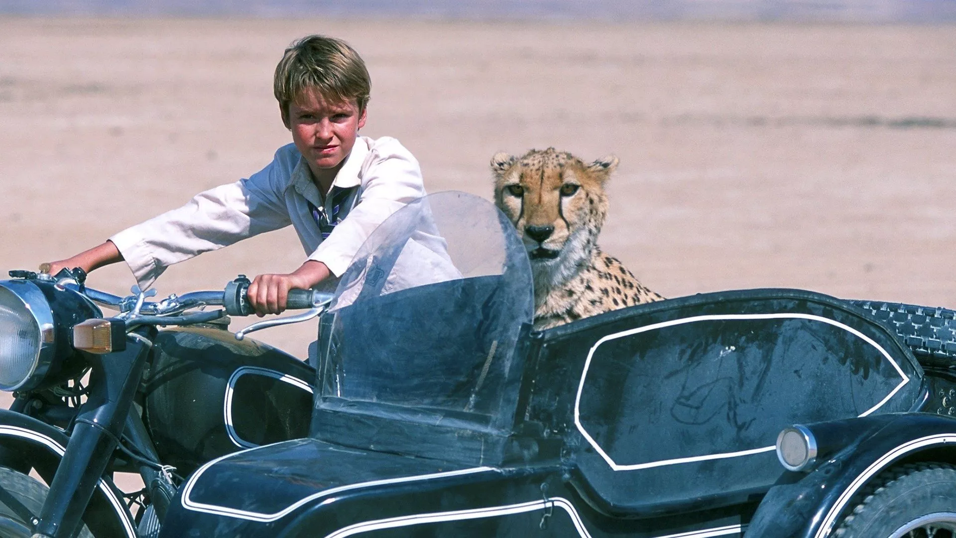 video-section-banner-image