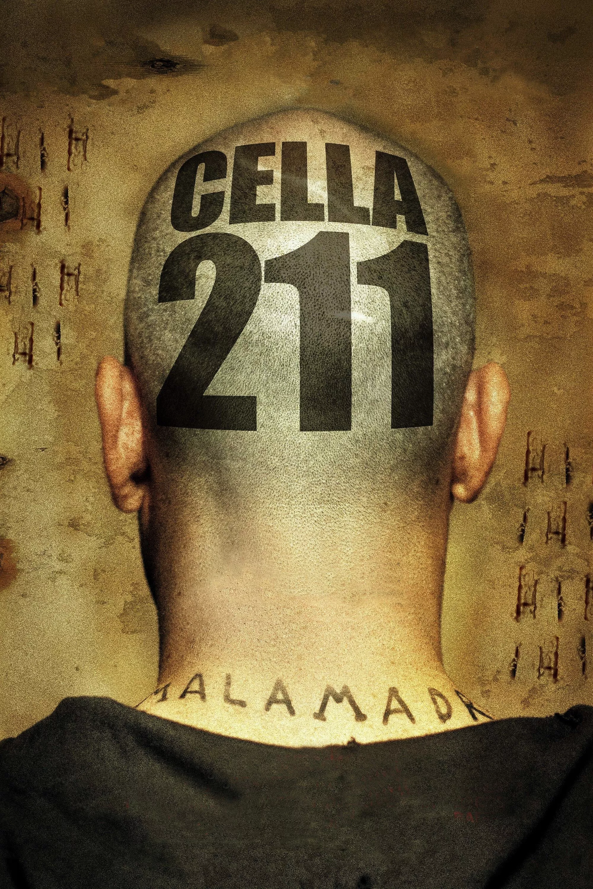 Cella 211