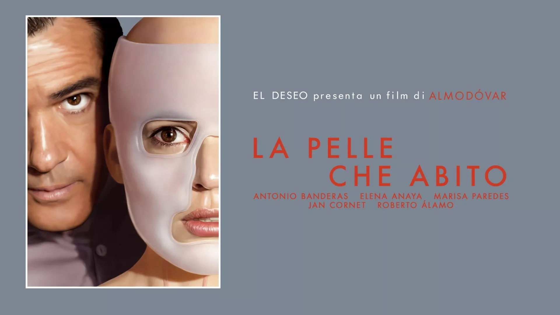 video-section-banner-image