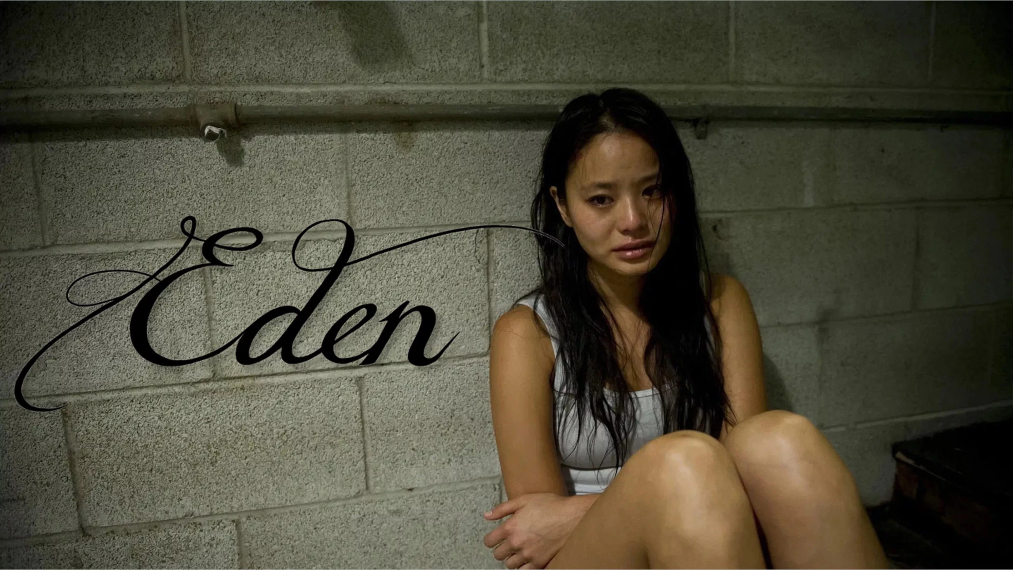 video-section-banner-image