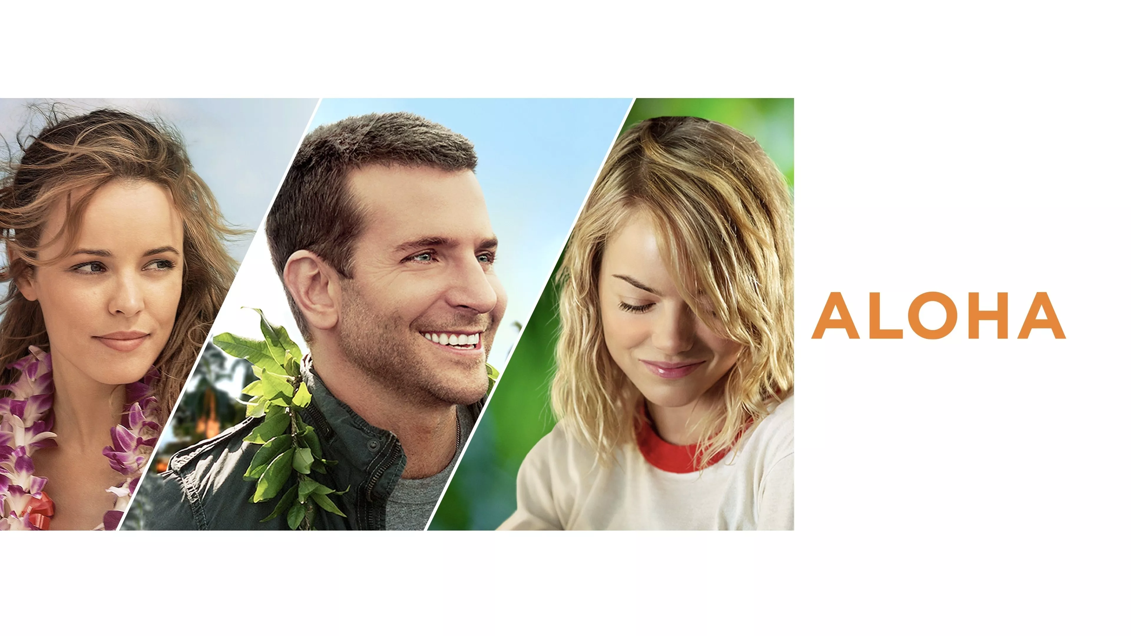 video-section-banner-image