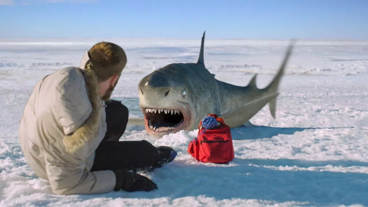 video-section-banner-image