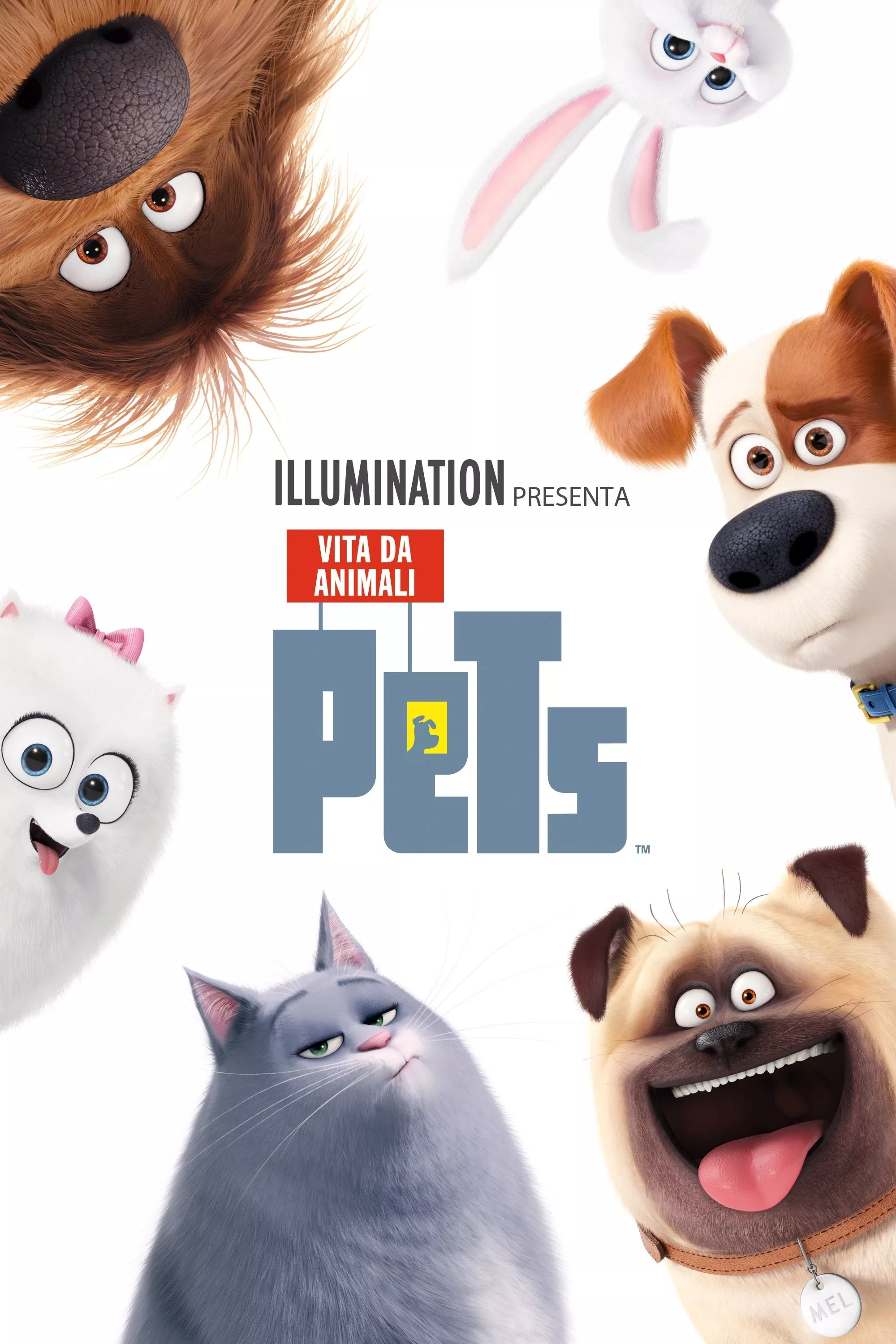 Pets - Vita da animali