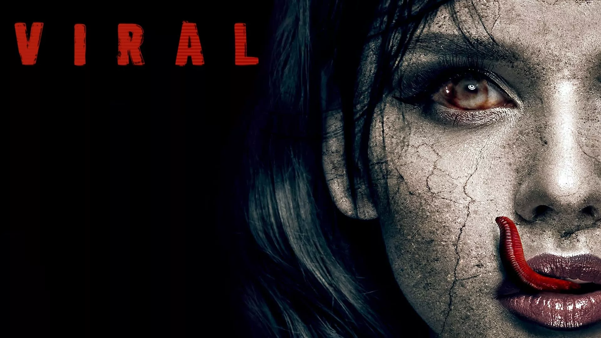 video-section-banner-image