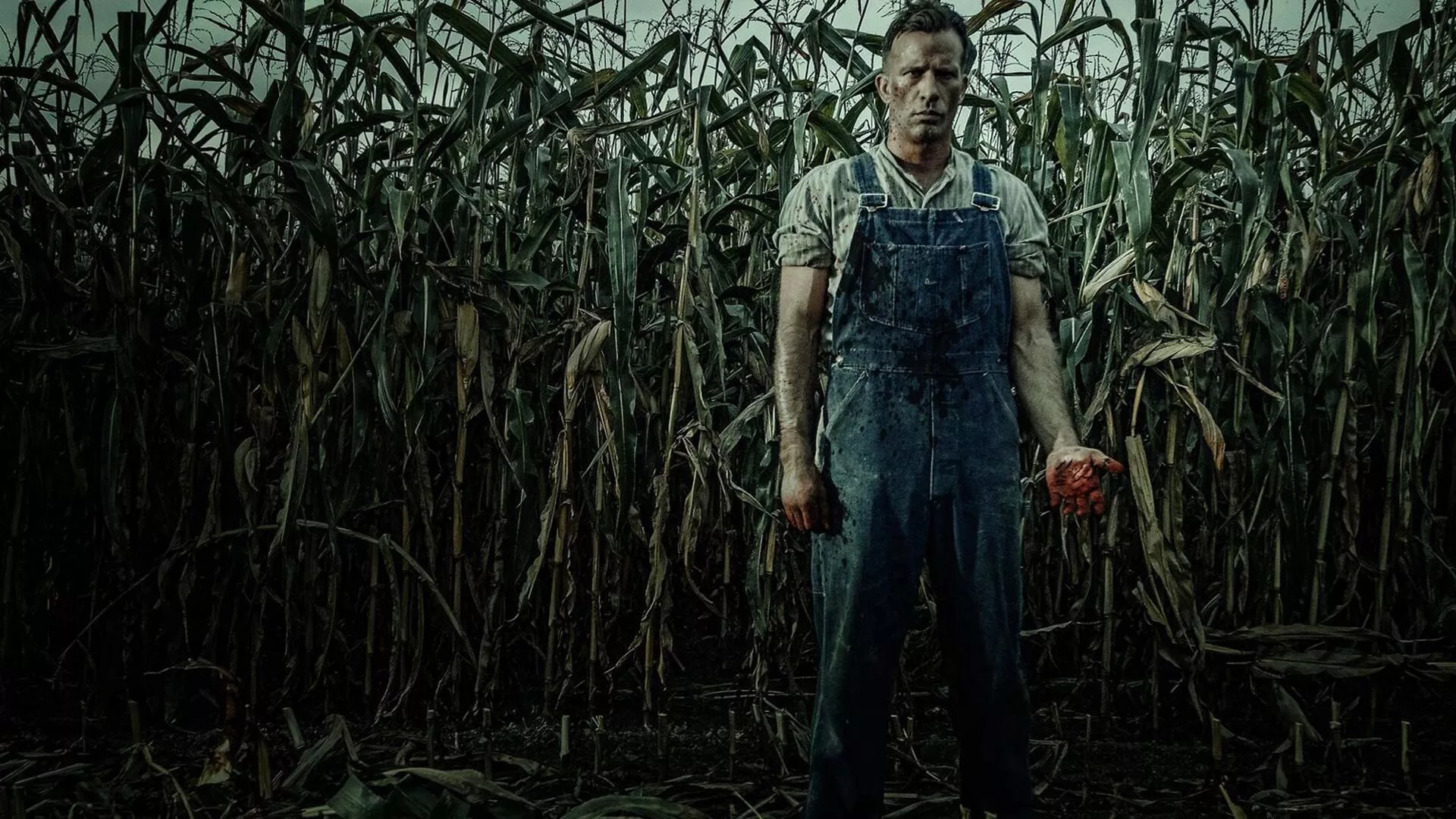 video-section-banner-image