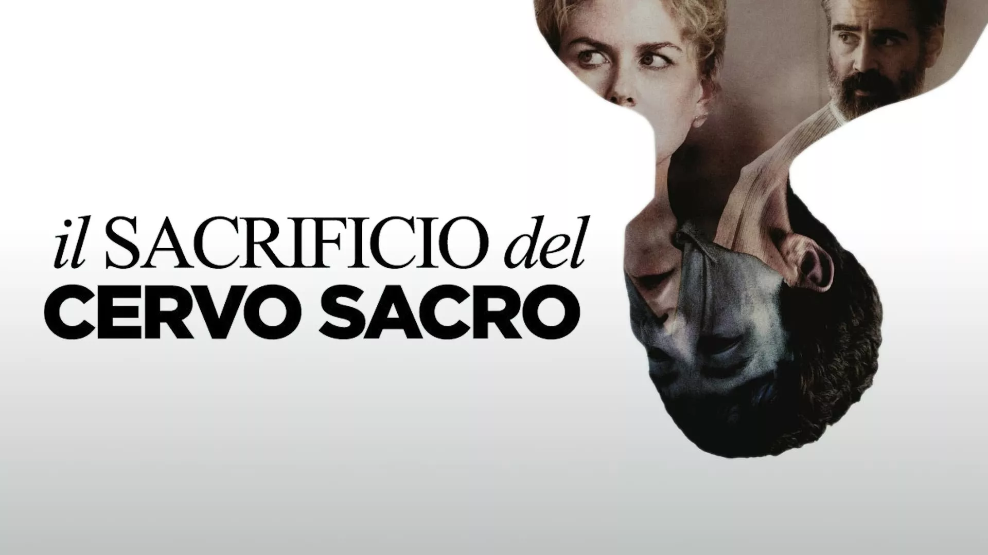 video-section-banner-image