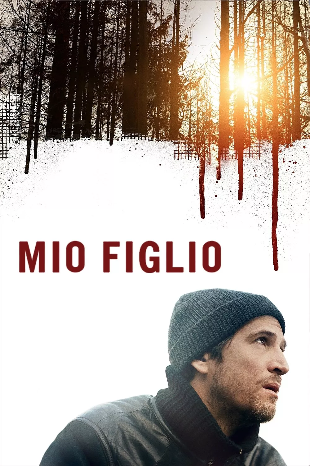 Mio figlio