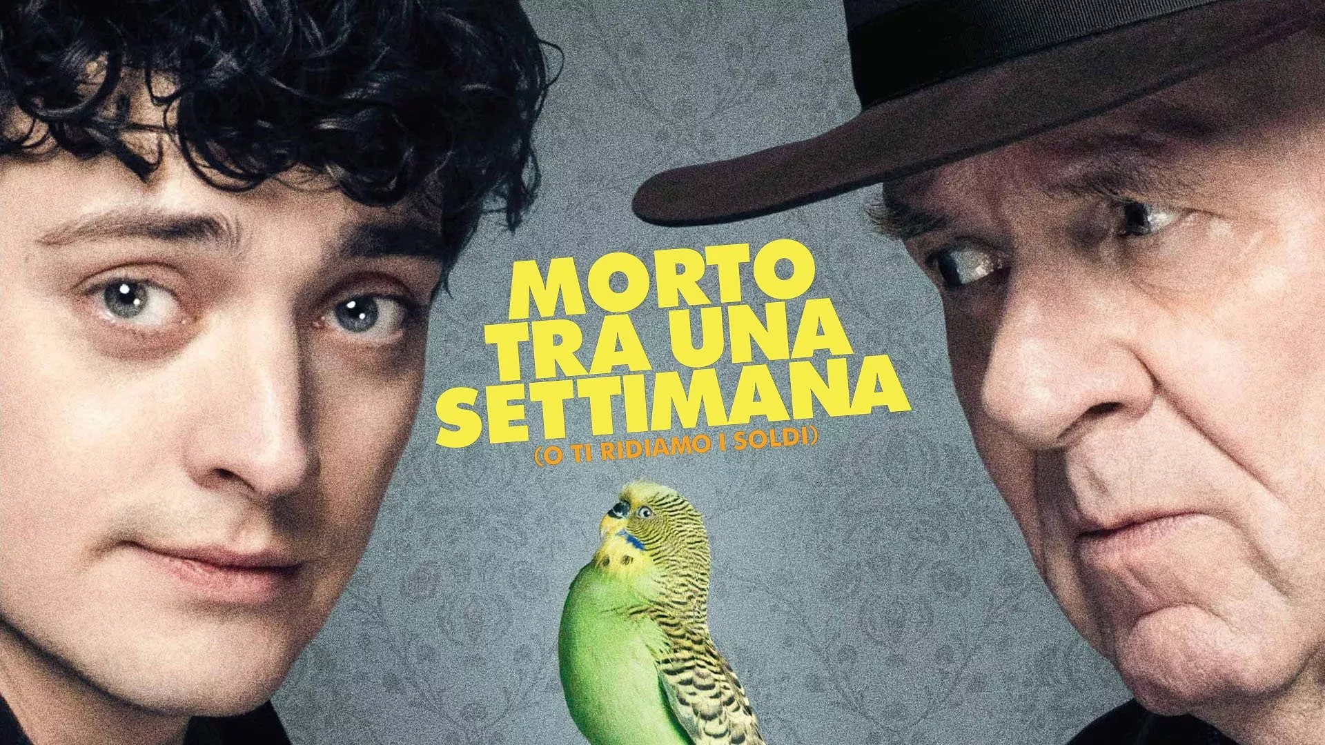 Morto tra una settimana... O ti ridiamo i soldi