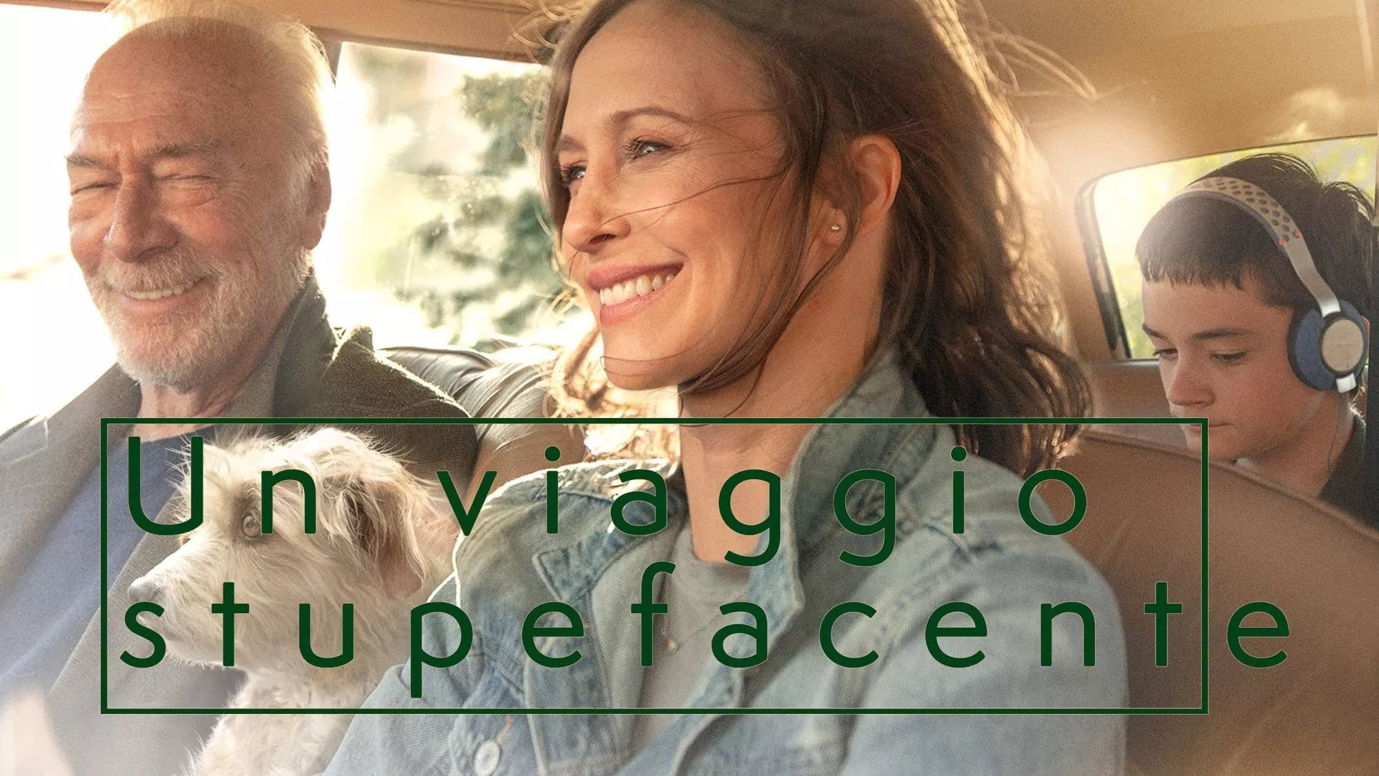 Un viaggio stupefacente