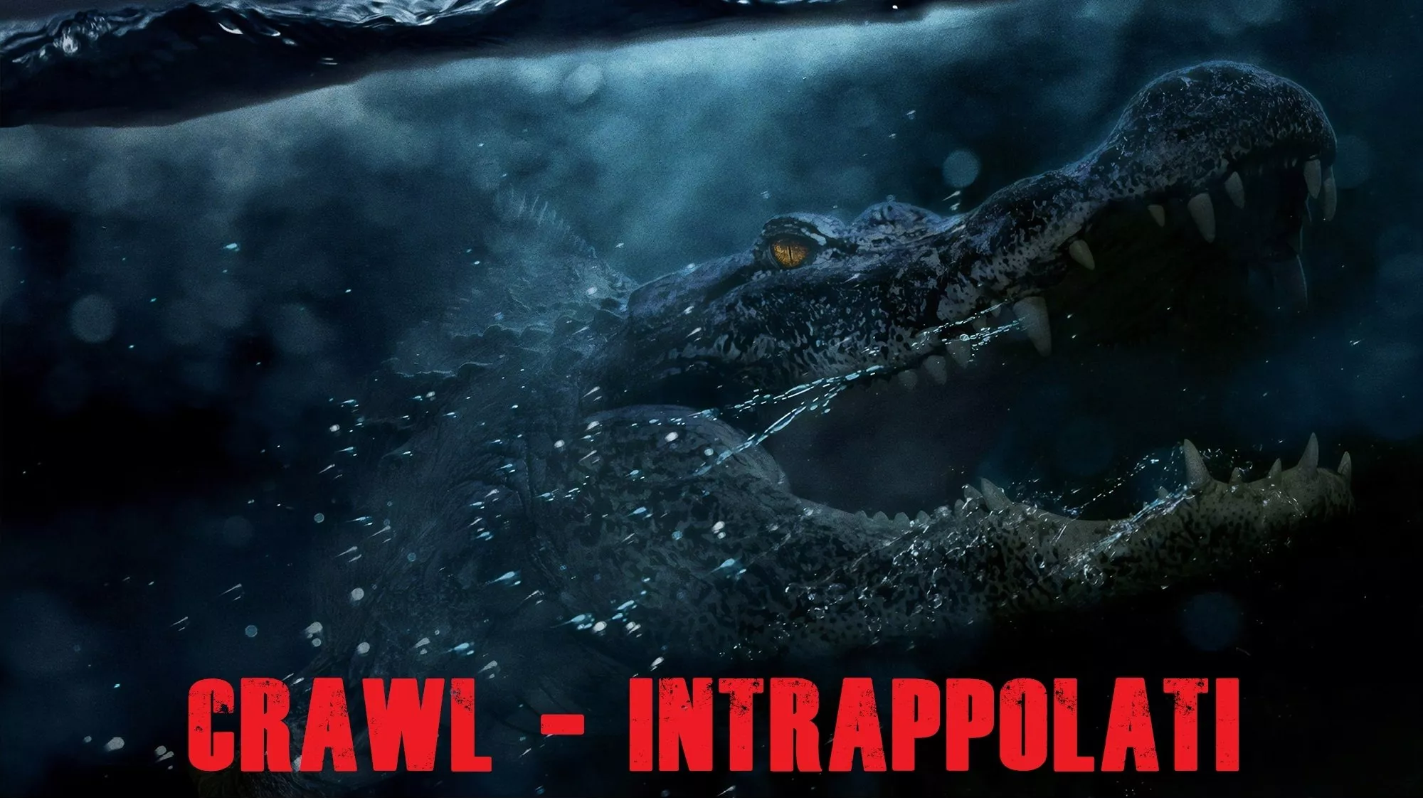 video-section-banner-image