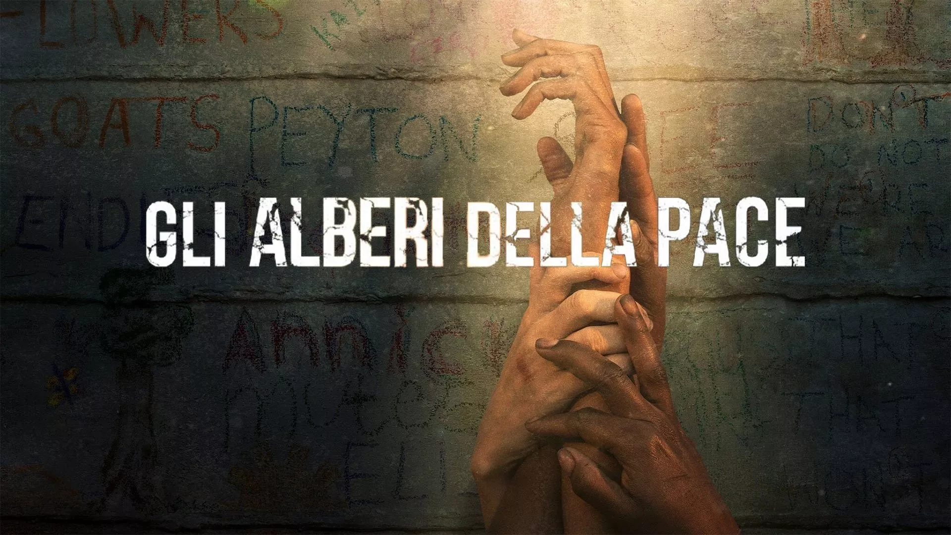 video-section-banner-image