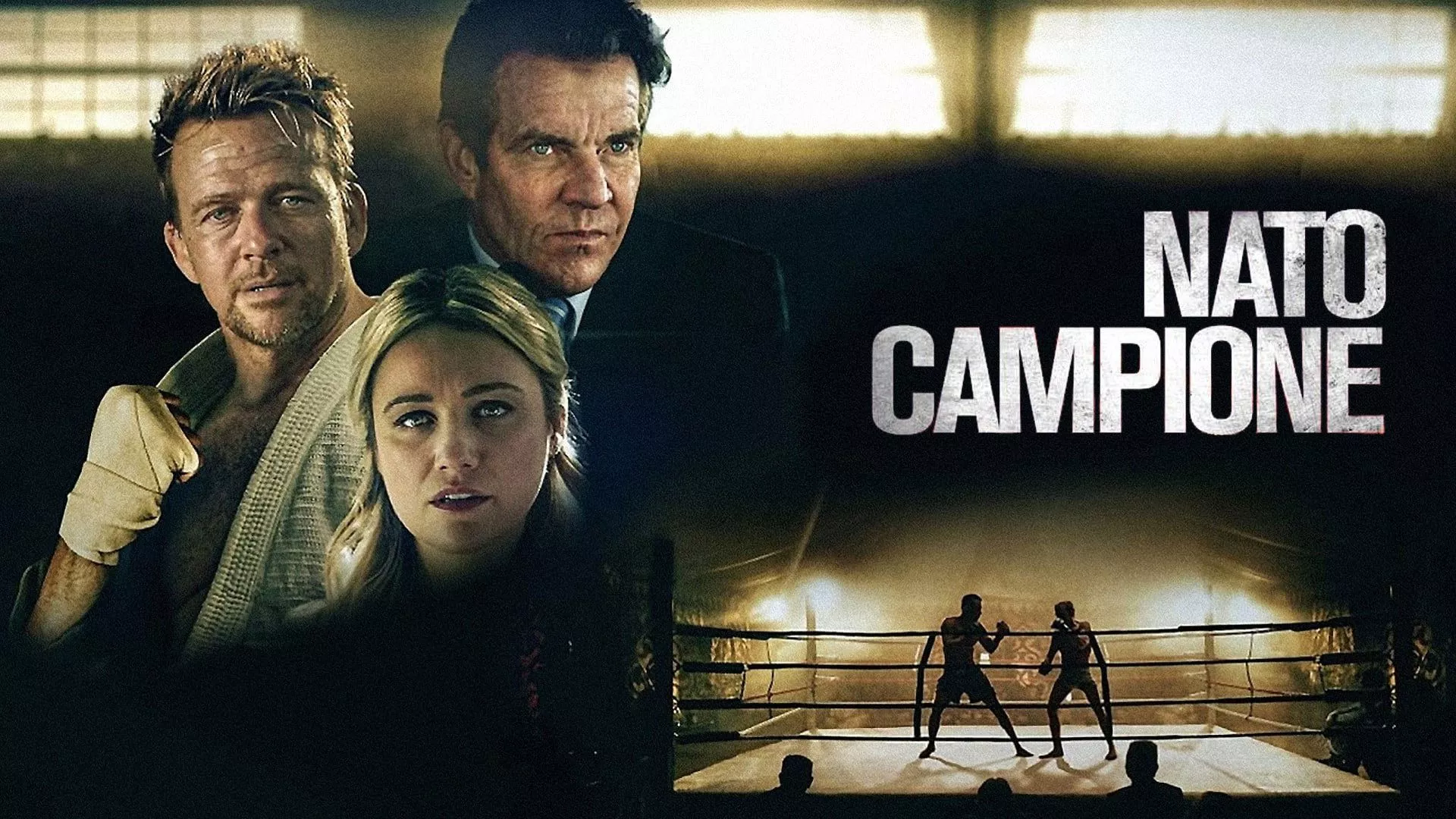 video-section-banner-image