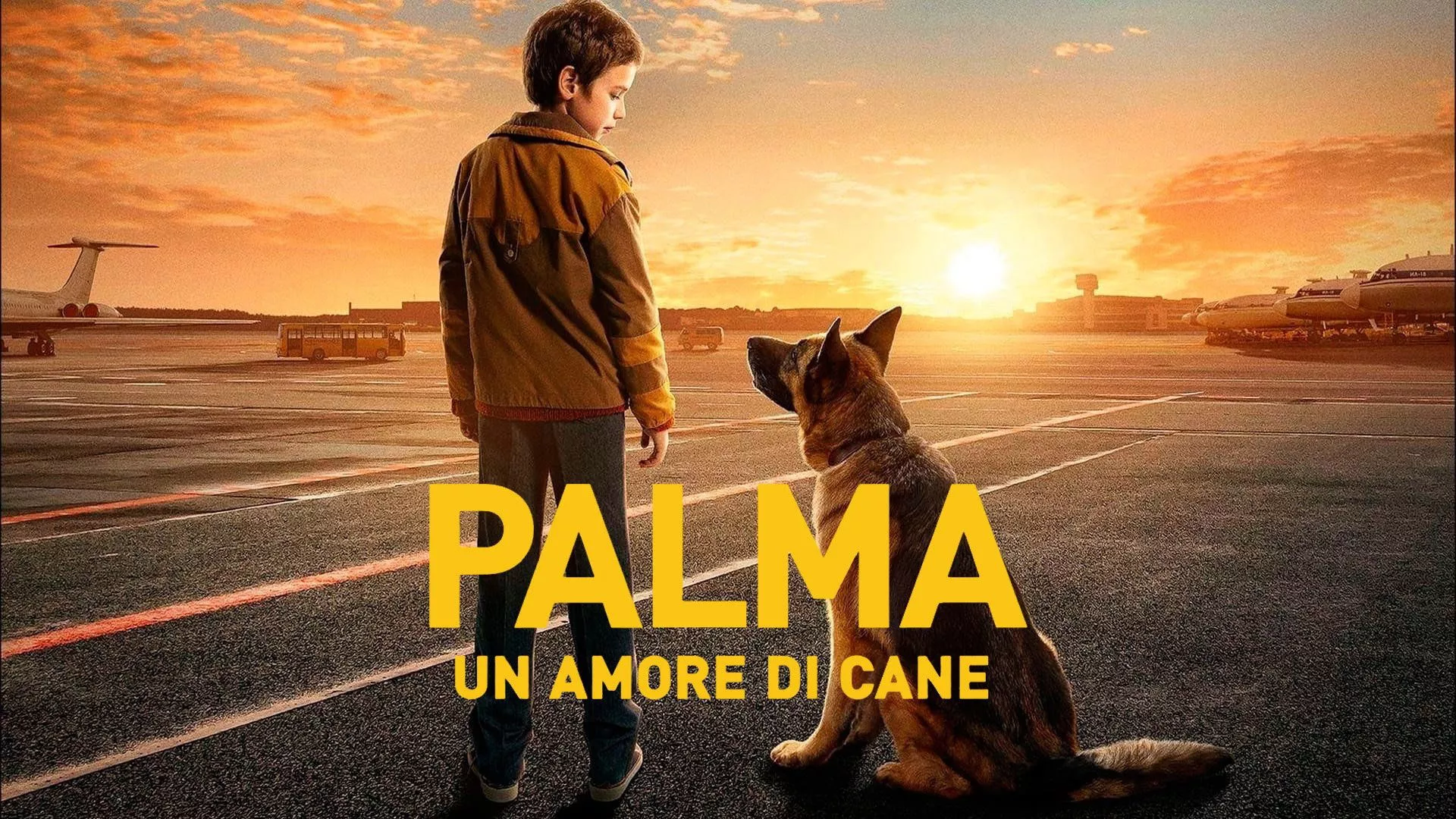 Palma - Un amore di cane