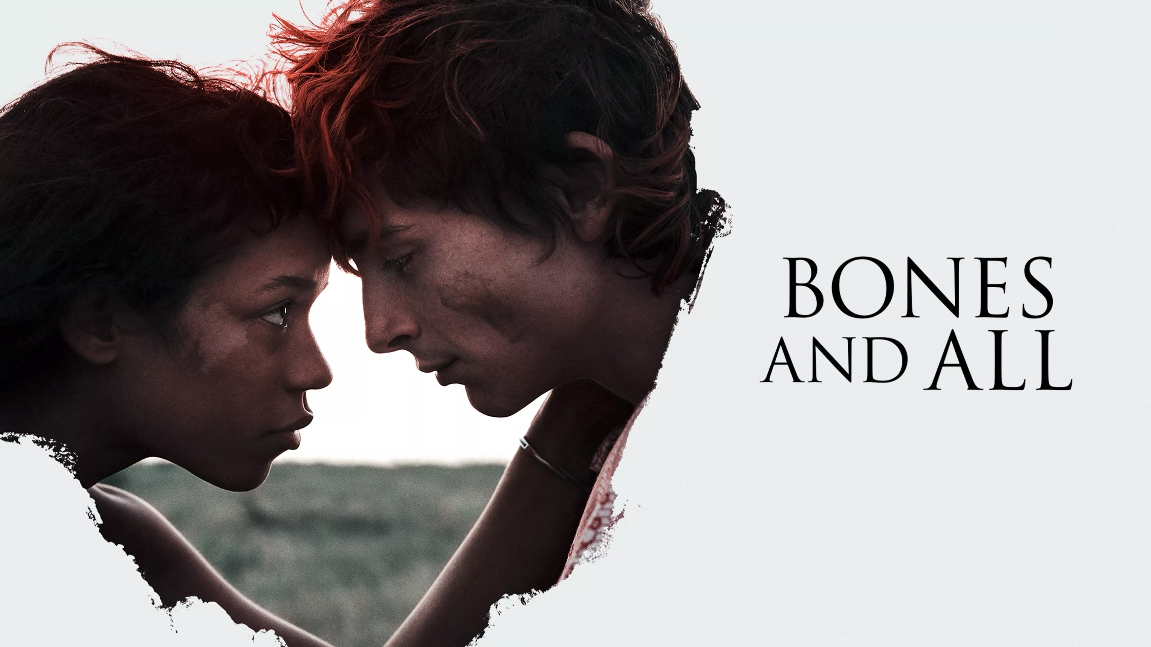 video-section-banner-image