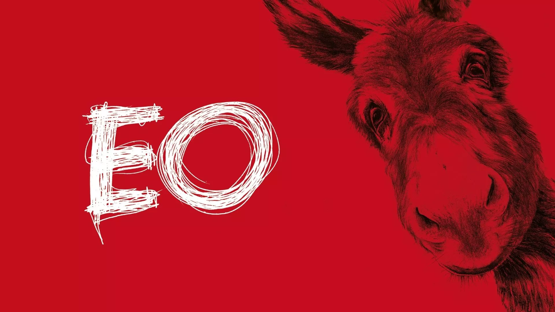 video-section-banner-image