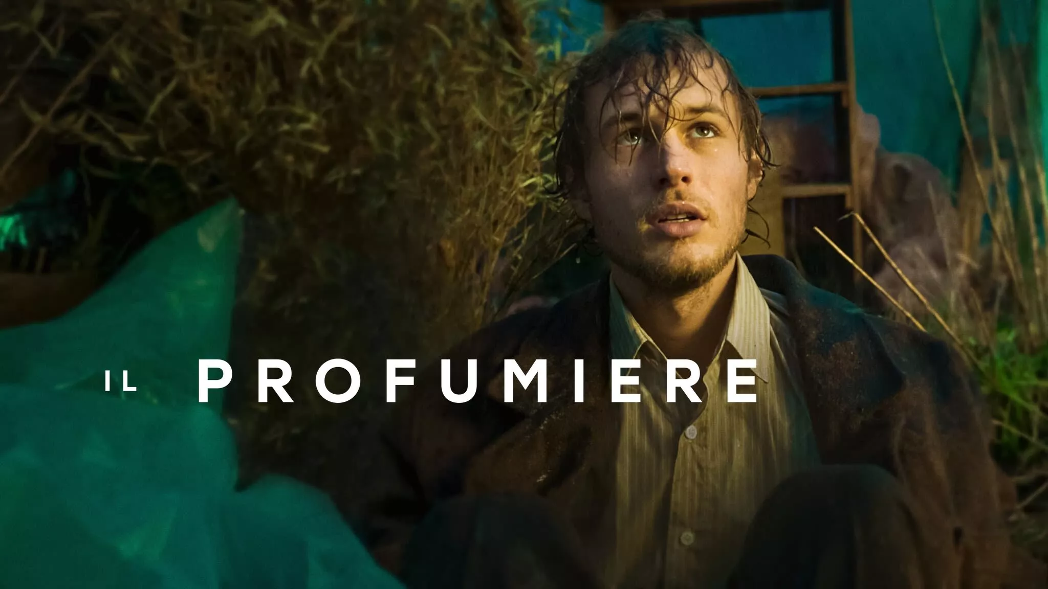 video-section-banner-image