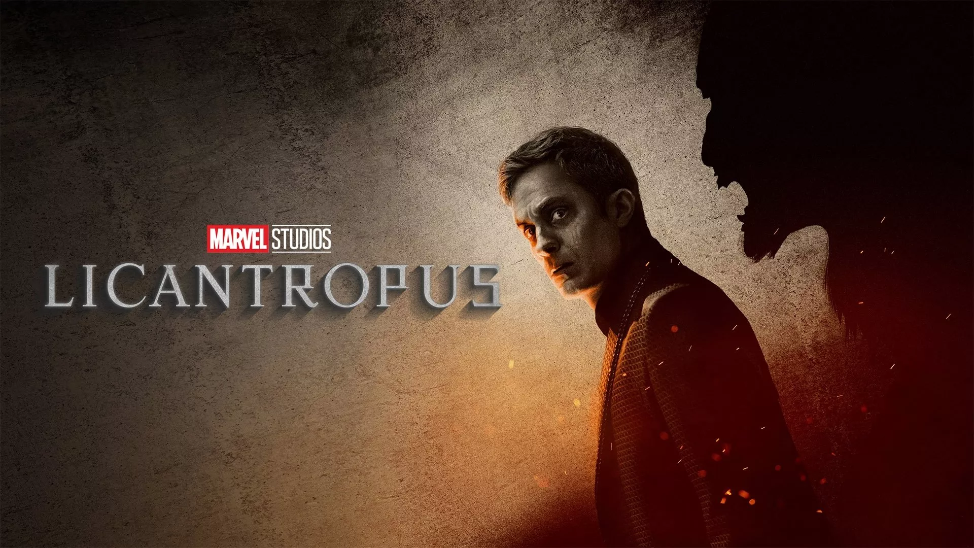 video-section-banner-image