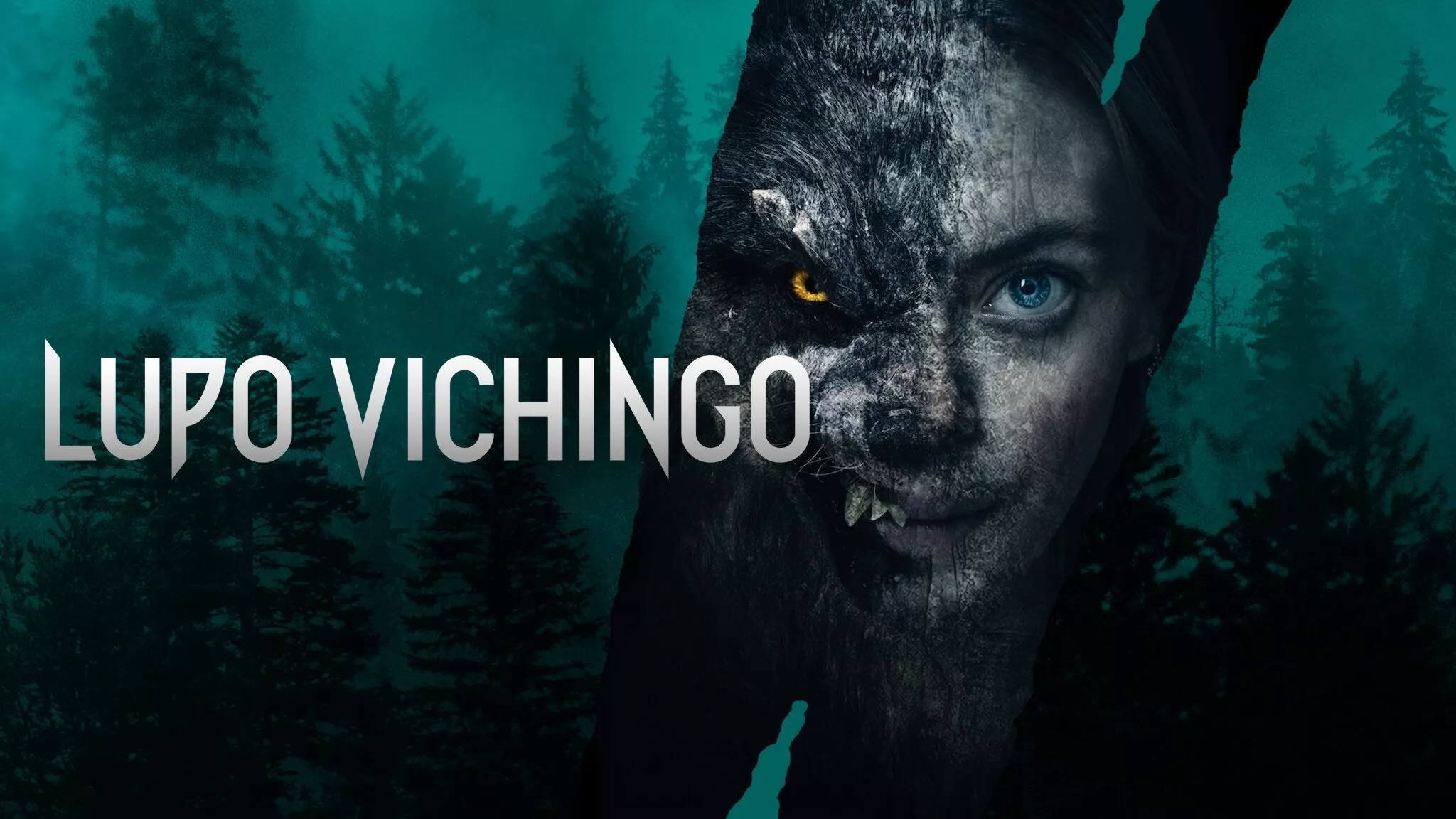 video-section-banner-image