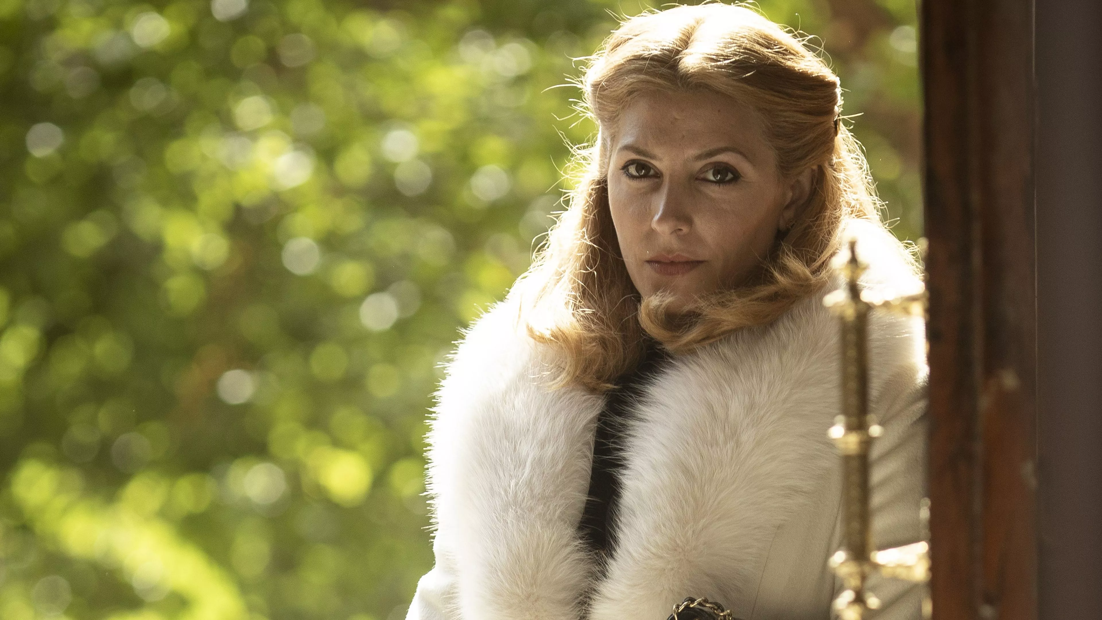 video-section-banner-image