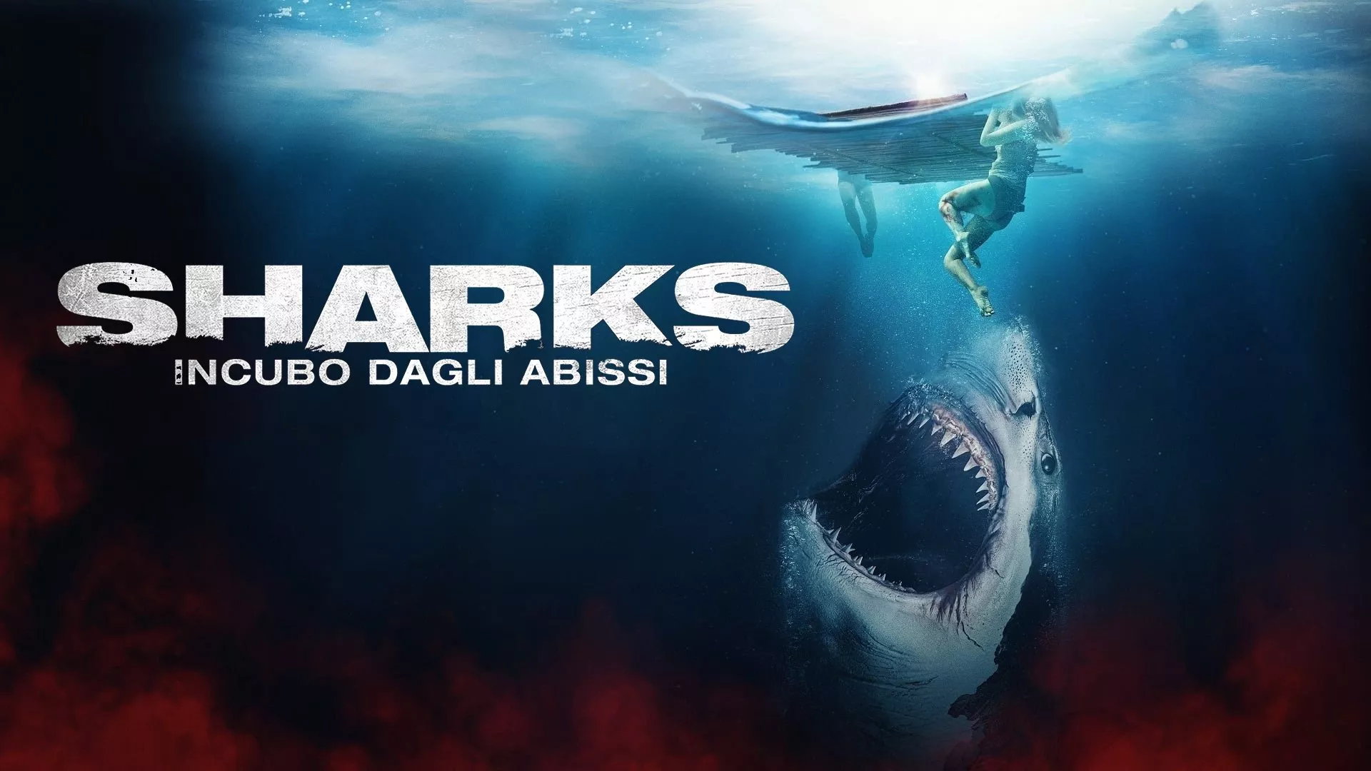 video-section-banner-image