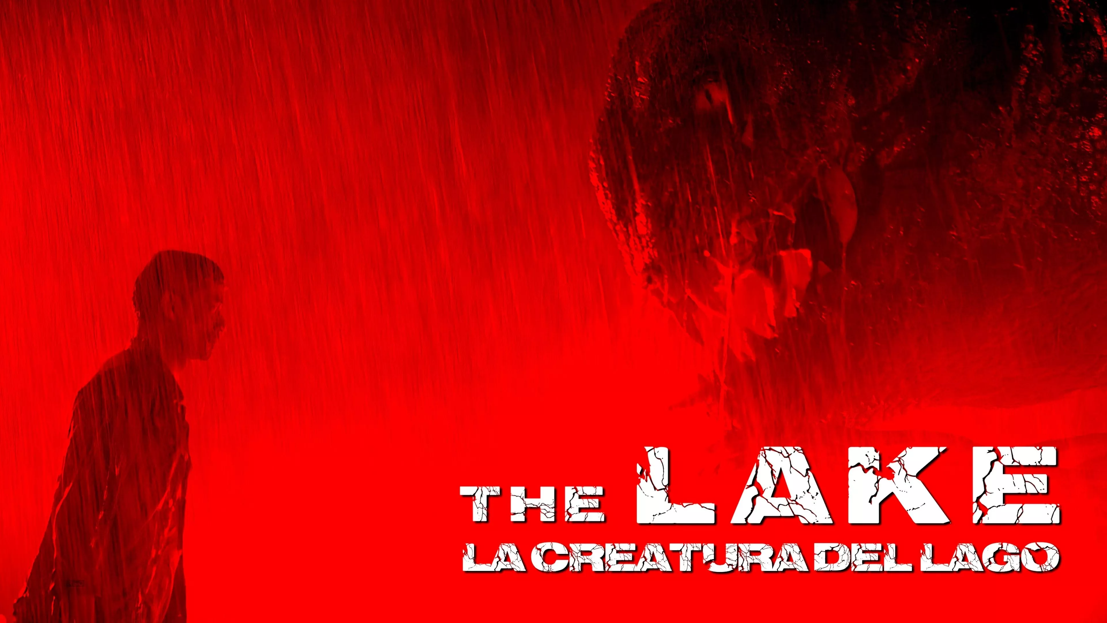 video-section-banner-image