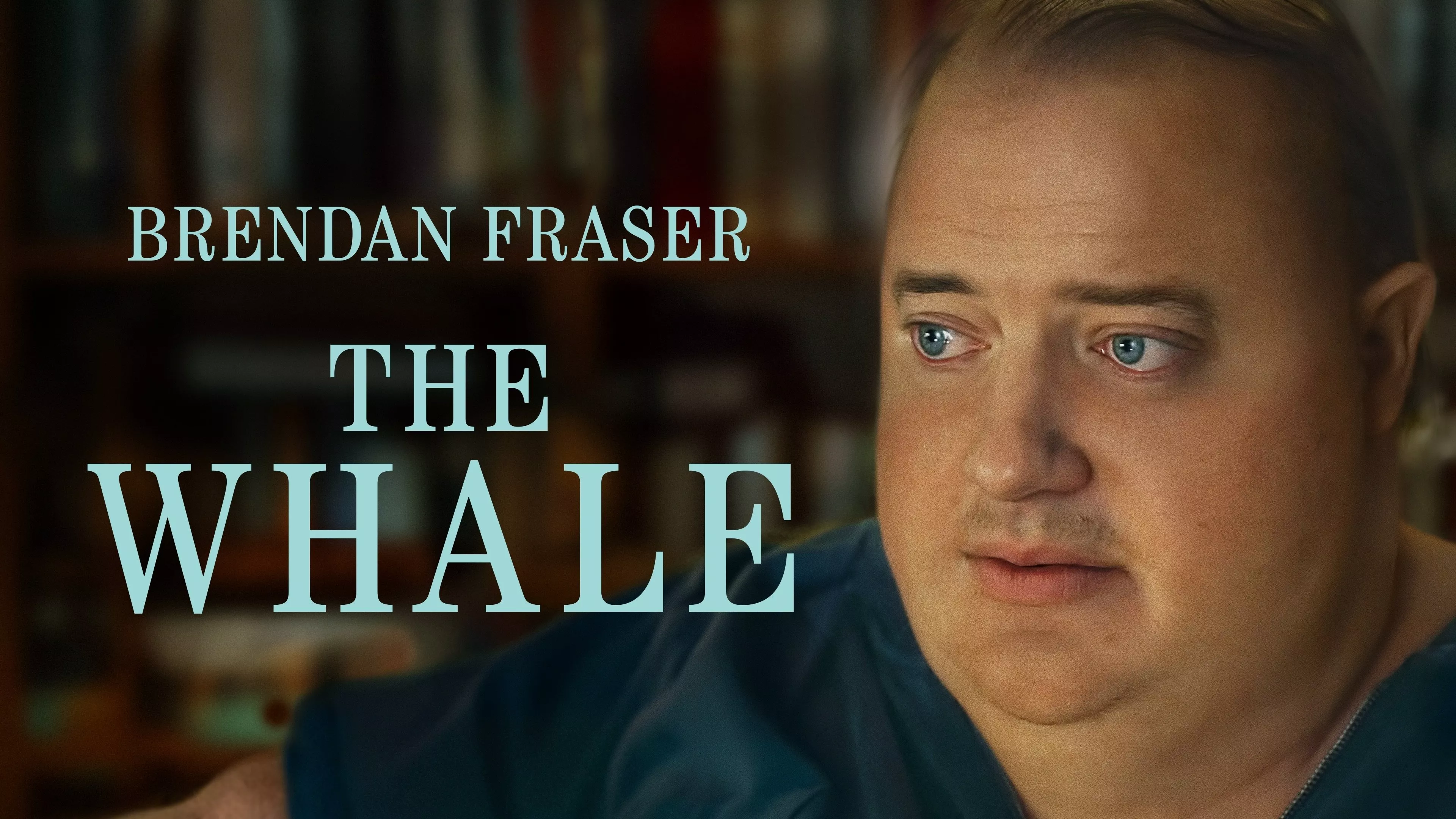 video-section-banner-image