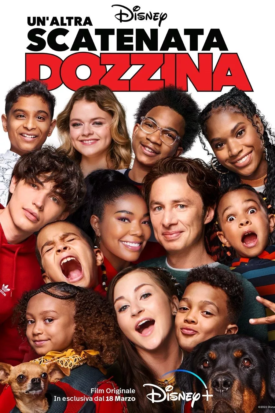 Un'altra scatenata dozzina