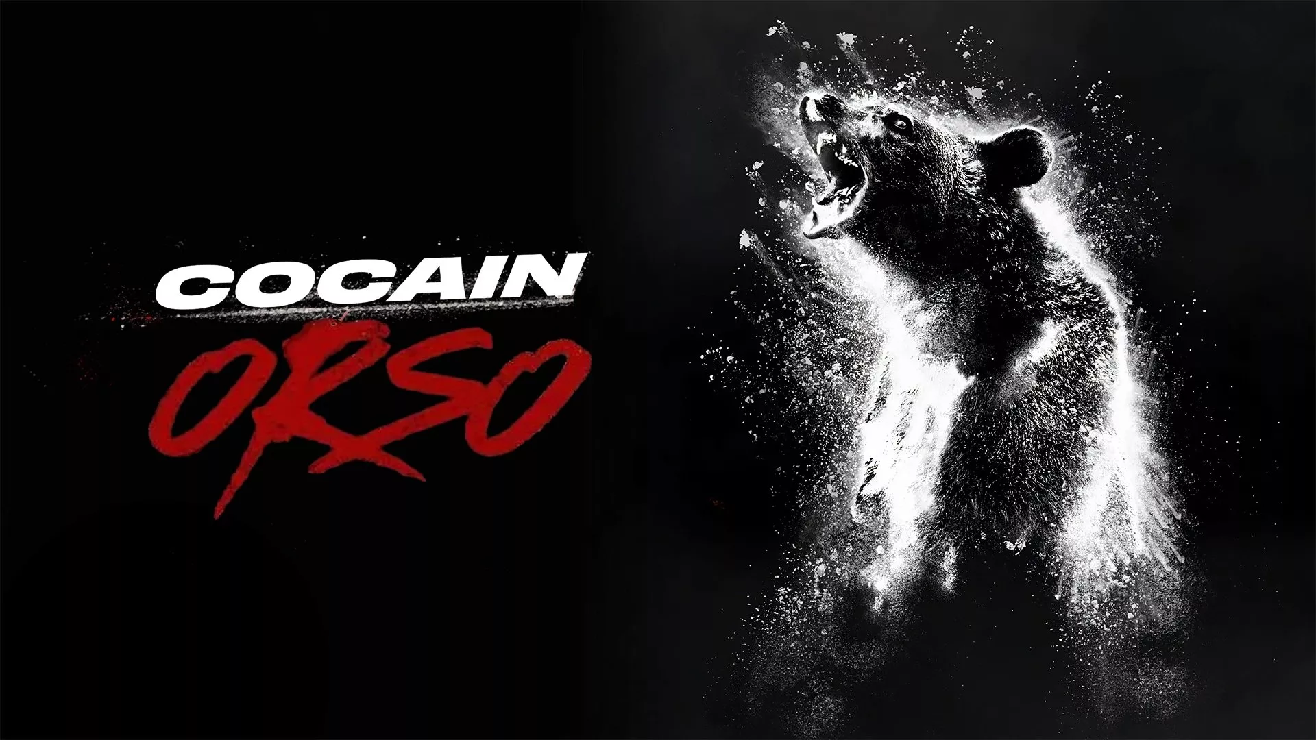 video-section-banner-image