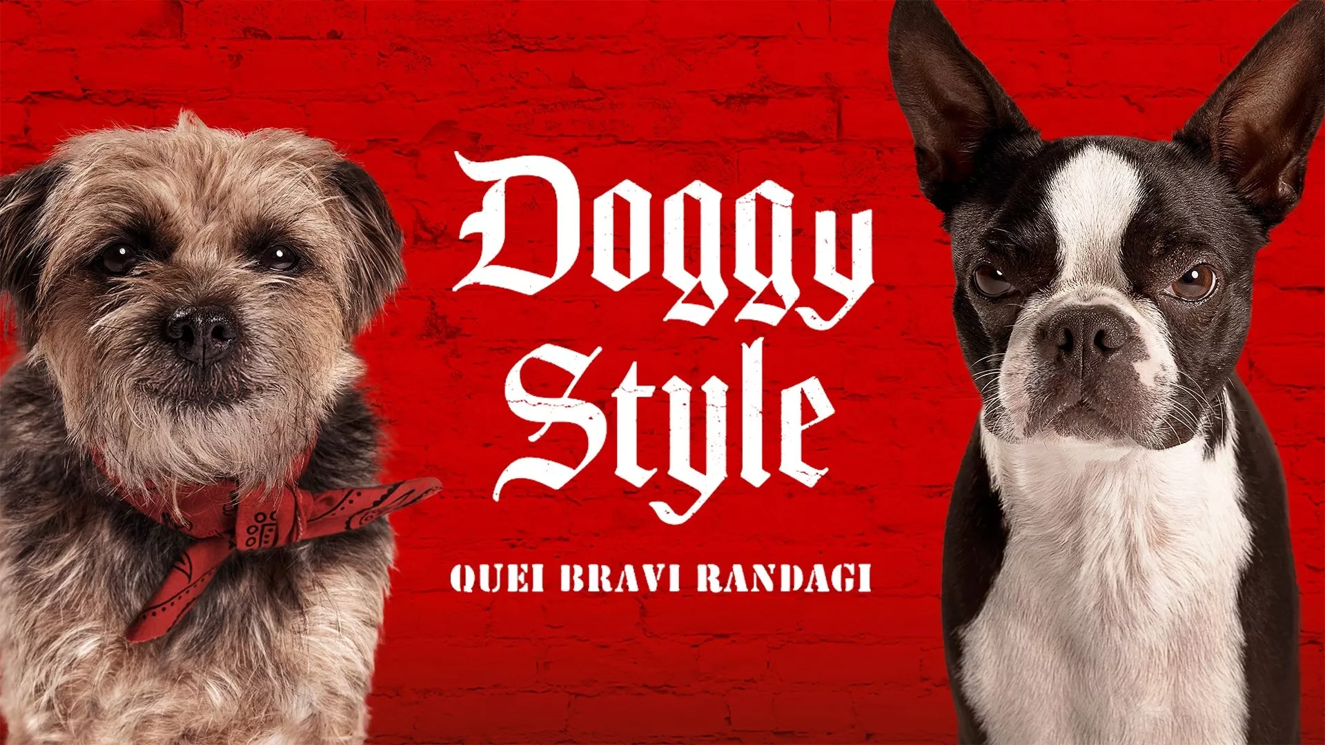 video-section-banner-image